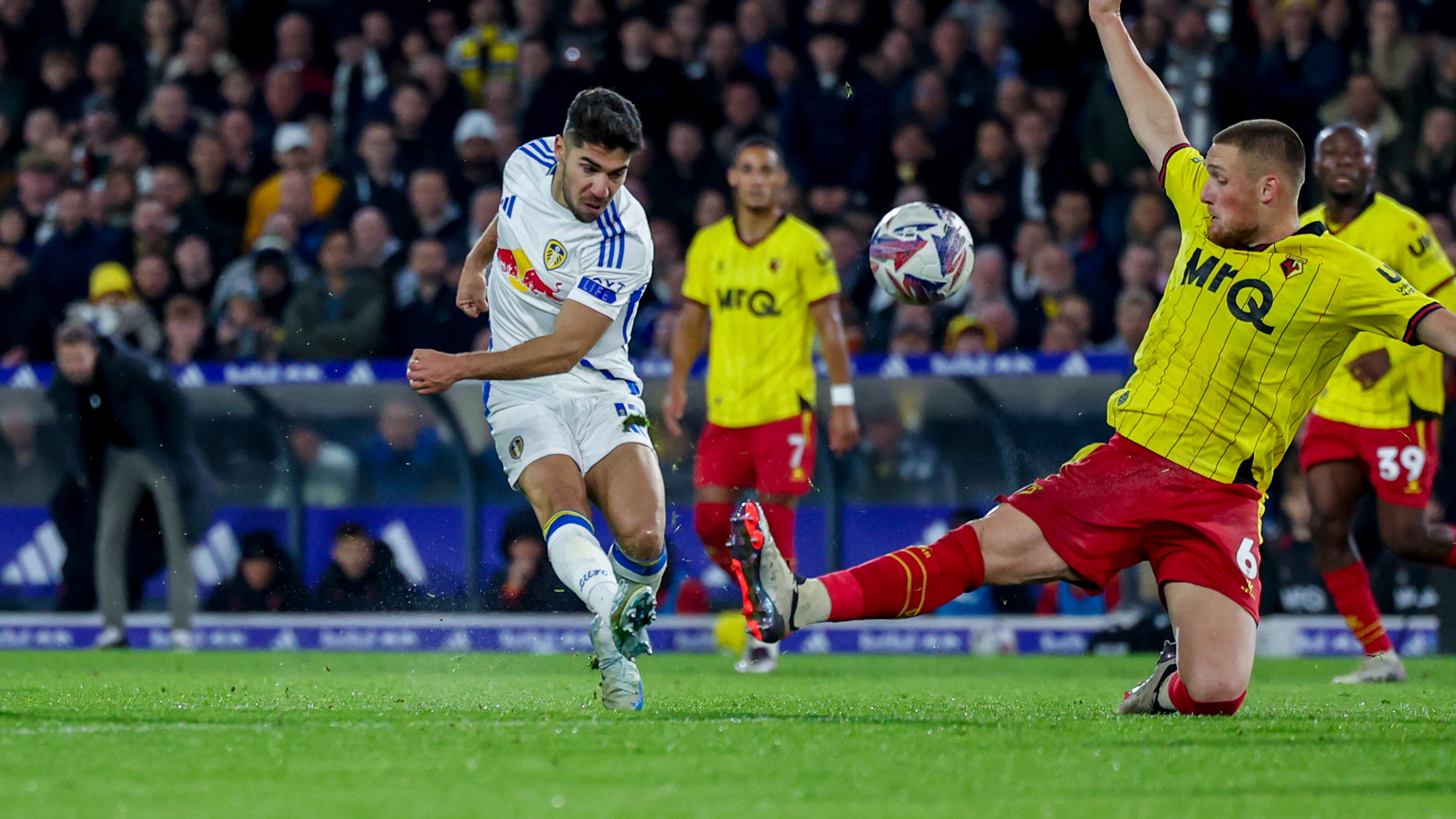 manor solomon watford