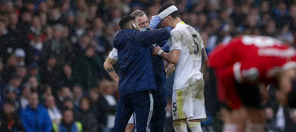 KOCH BANNER PHOTO.jpg