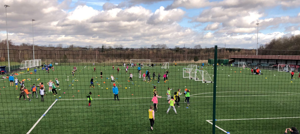 Wildcats festival banner.jpg