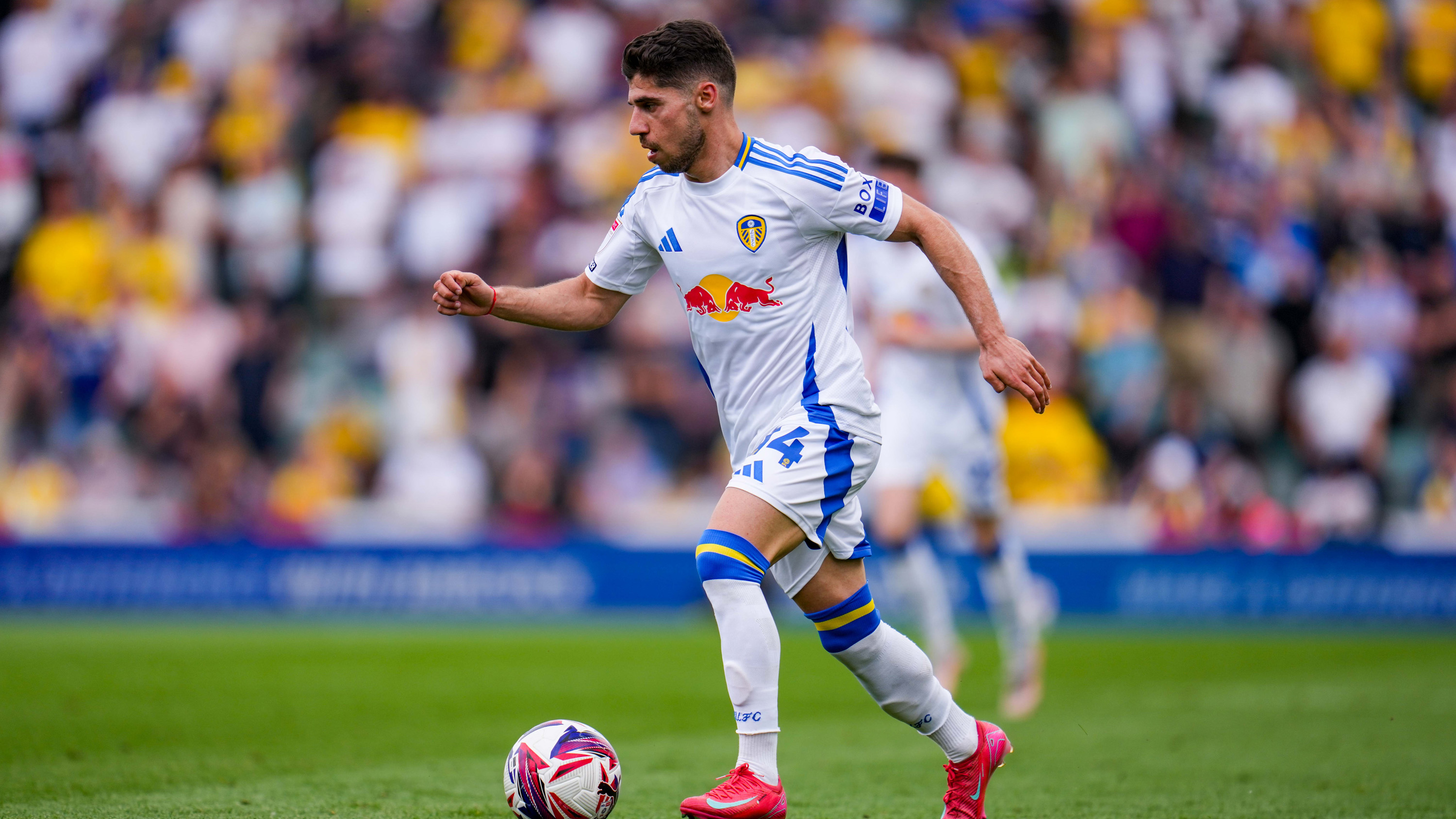 Manor Solomon Plymouth