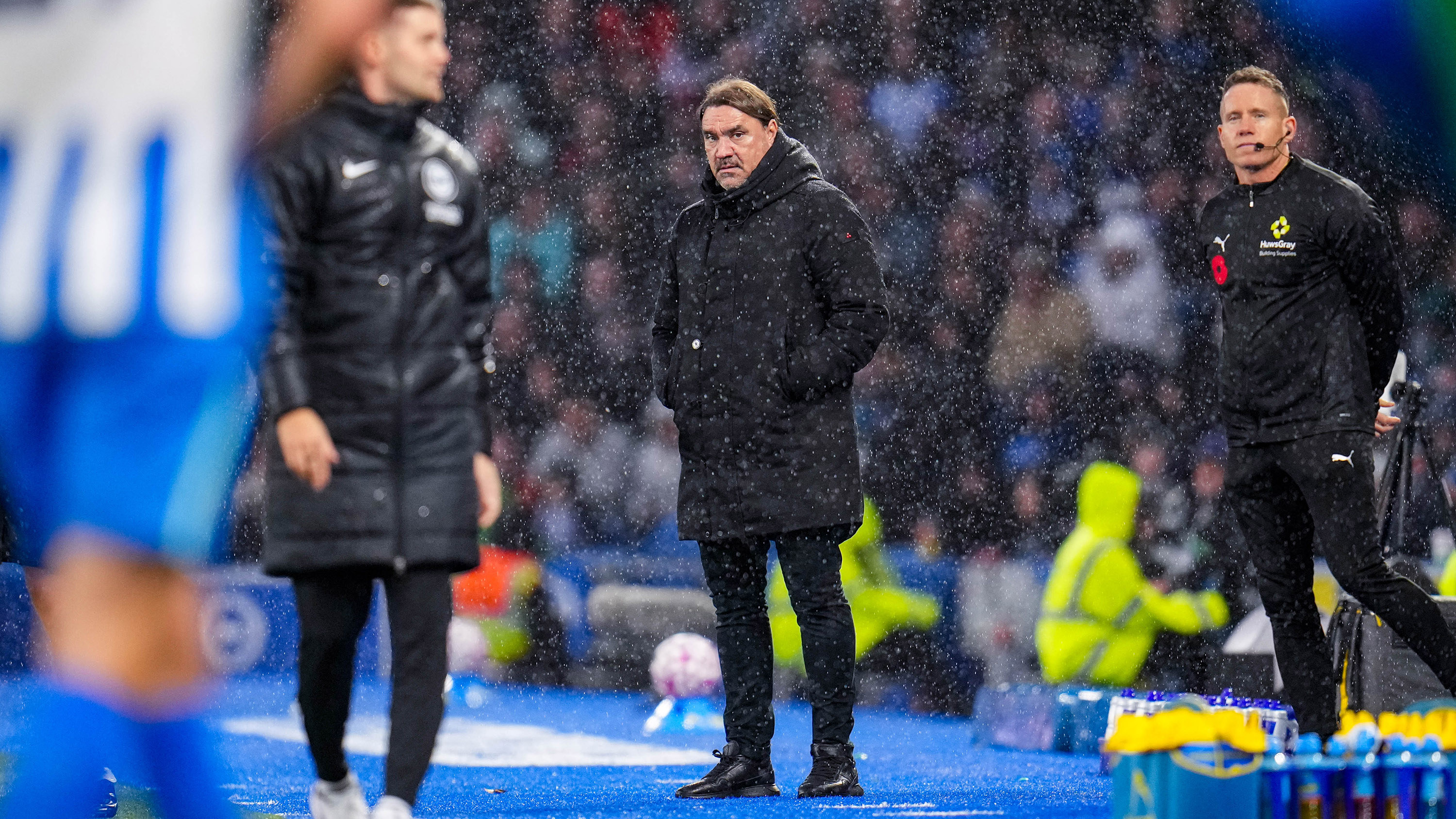 Daniel Farke vs Brighton