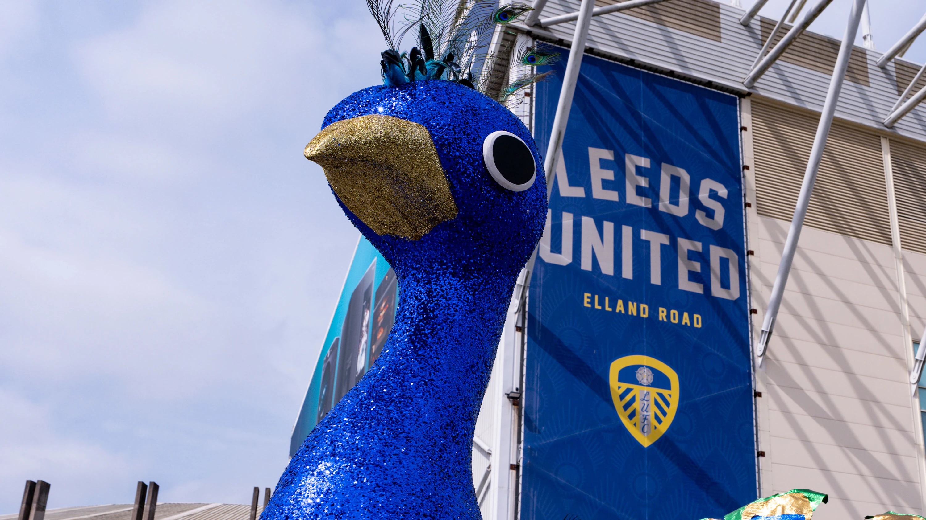 Peacock Head Elland Road June 26