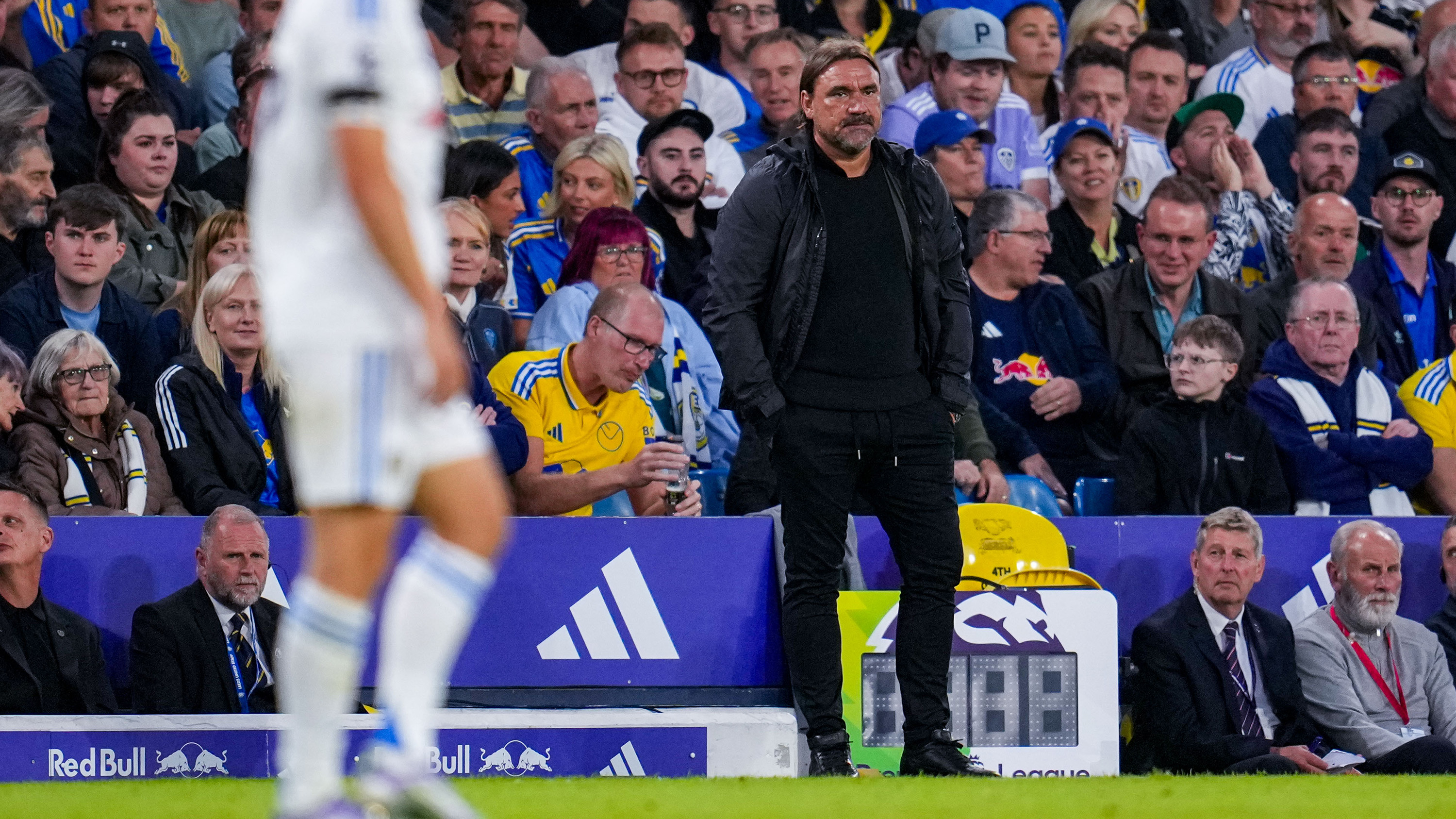 Daniel Farke vs Everton