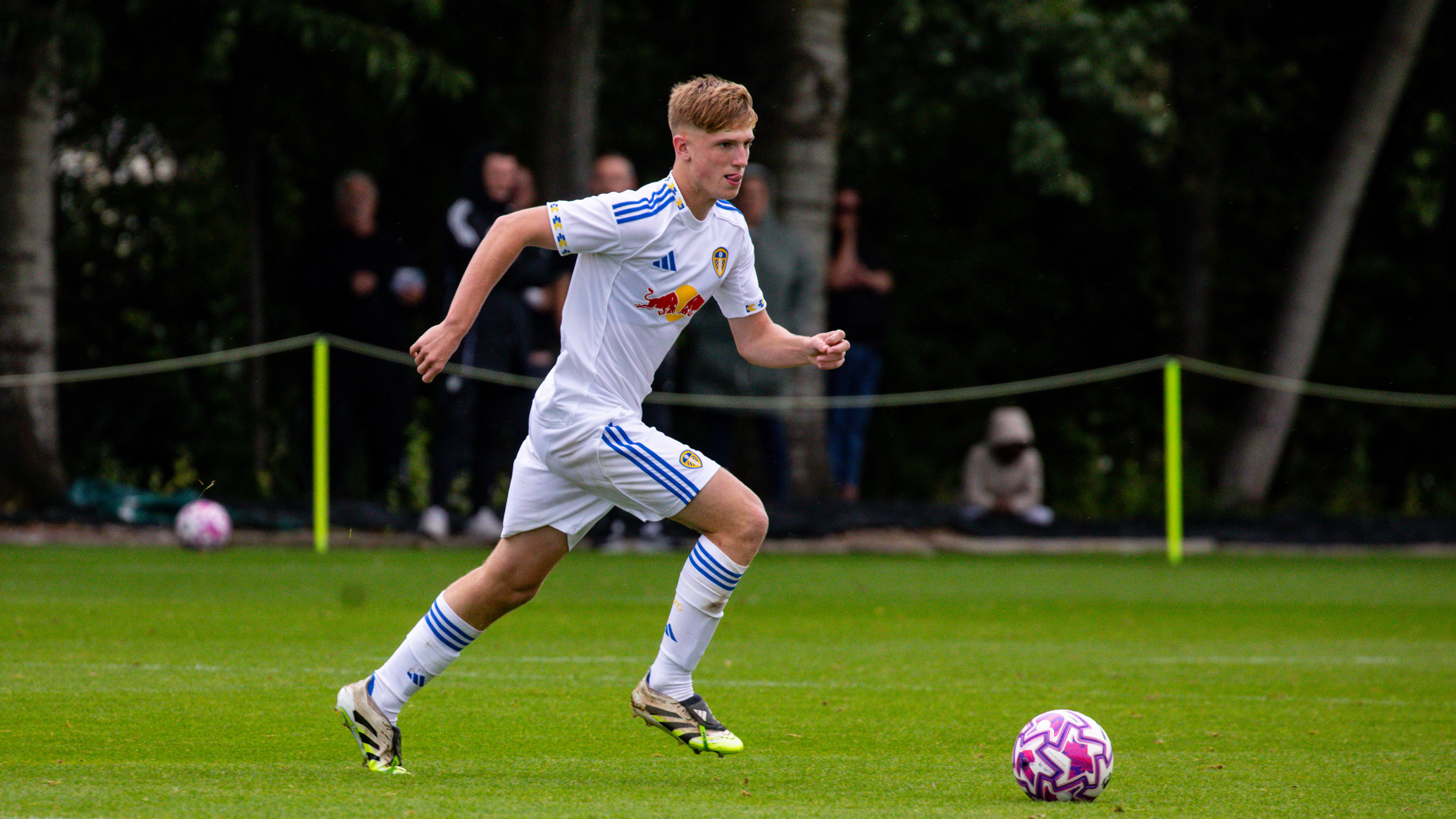 Loui Whitehead U18s
