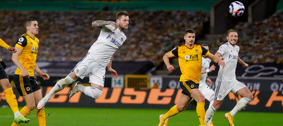 report wolves away.jpg