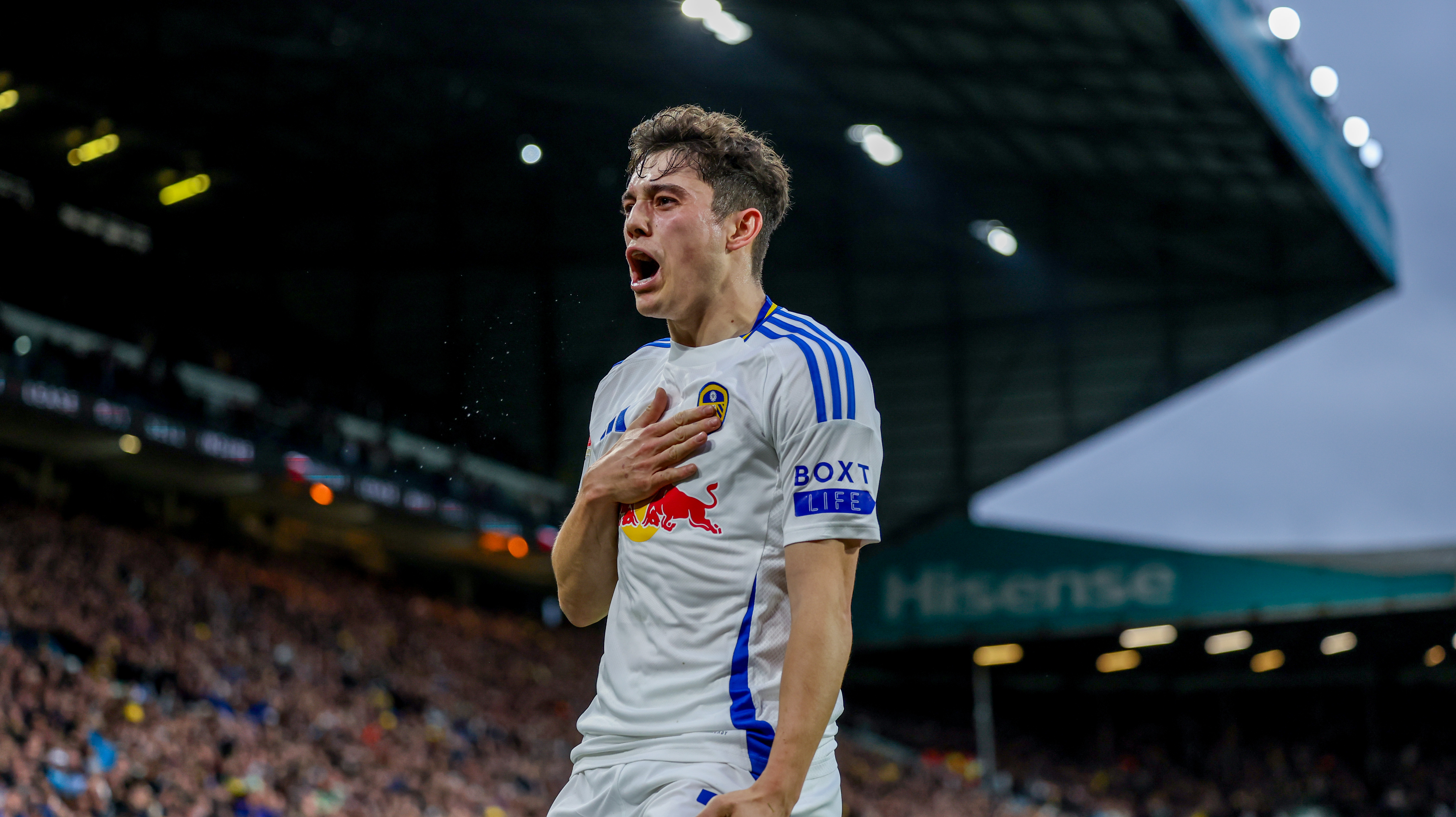 Rewind: Goals v Plymouth