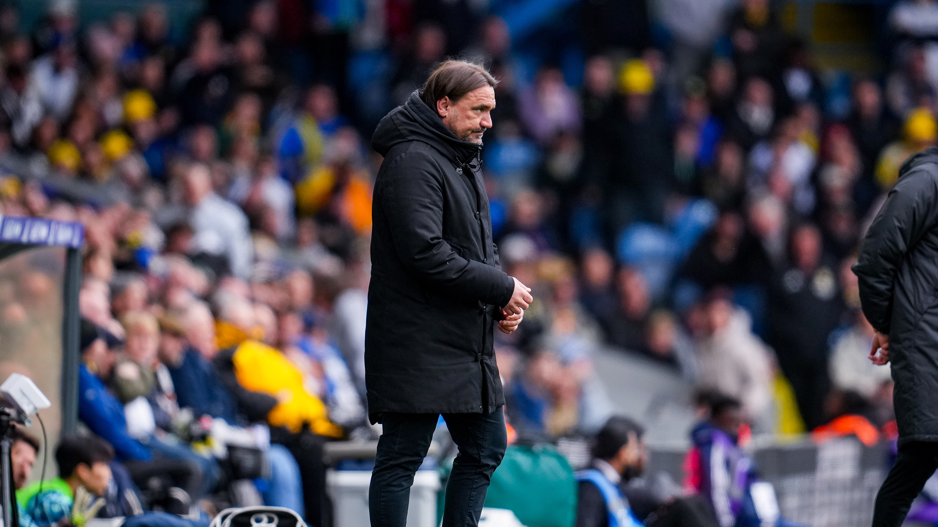 Daniel Farke vs Swansea City (2)