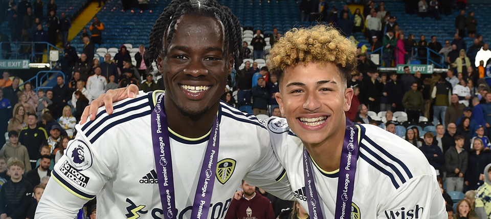 Darko Mateo Banner.png