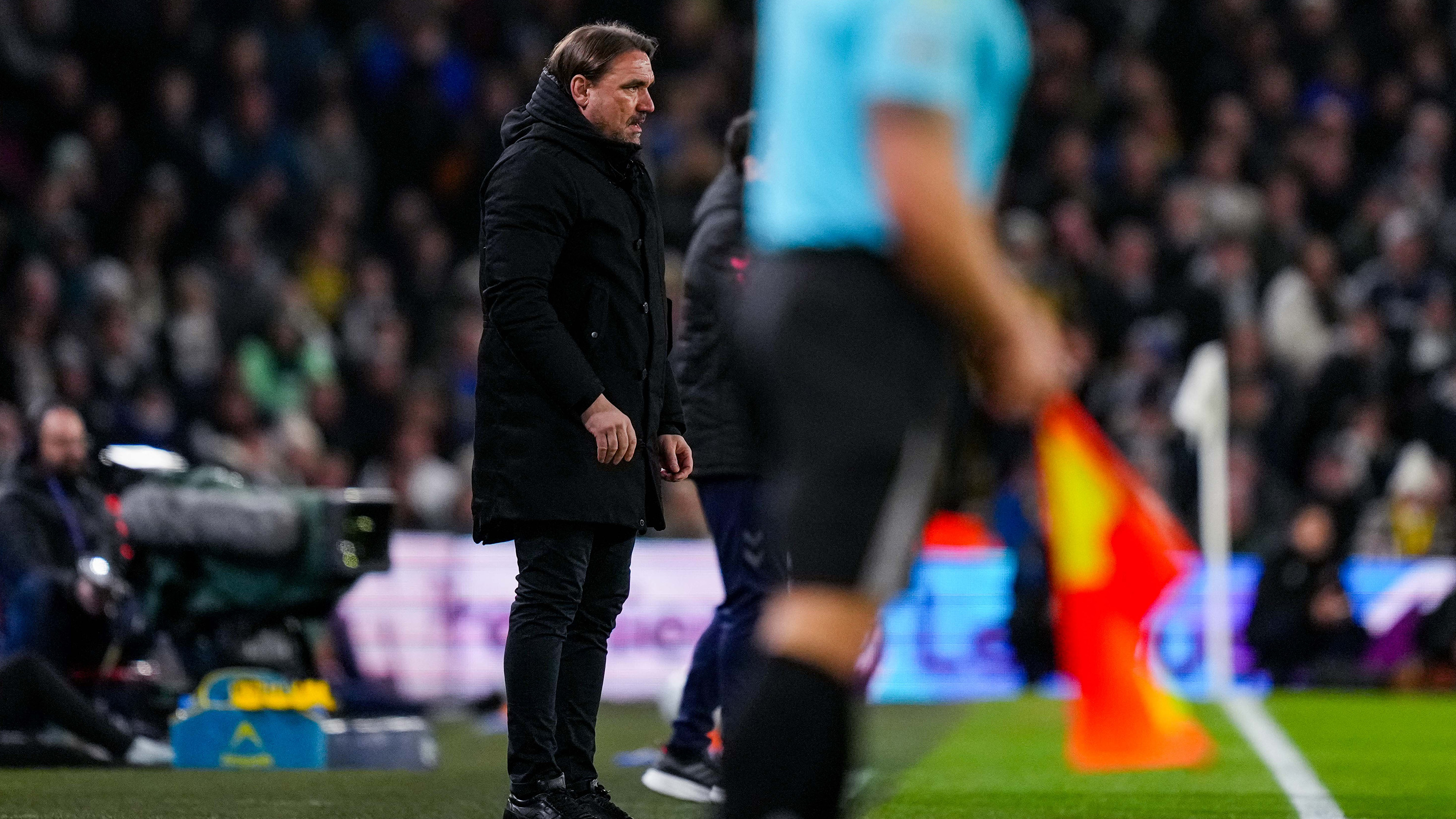 Daniel Farke vs Sunderland (H)