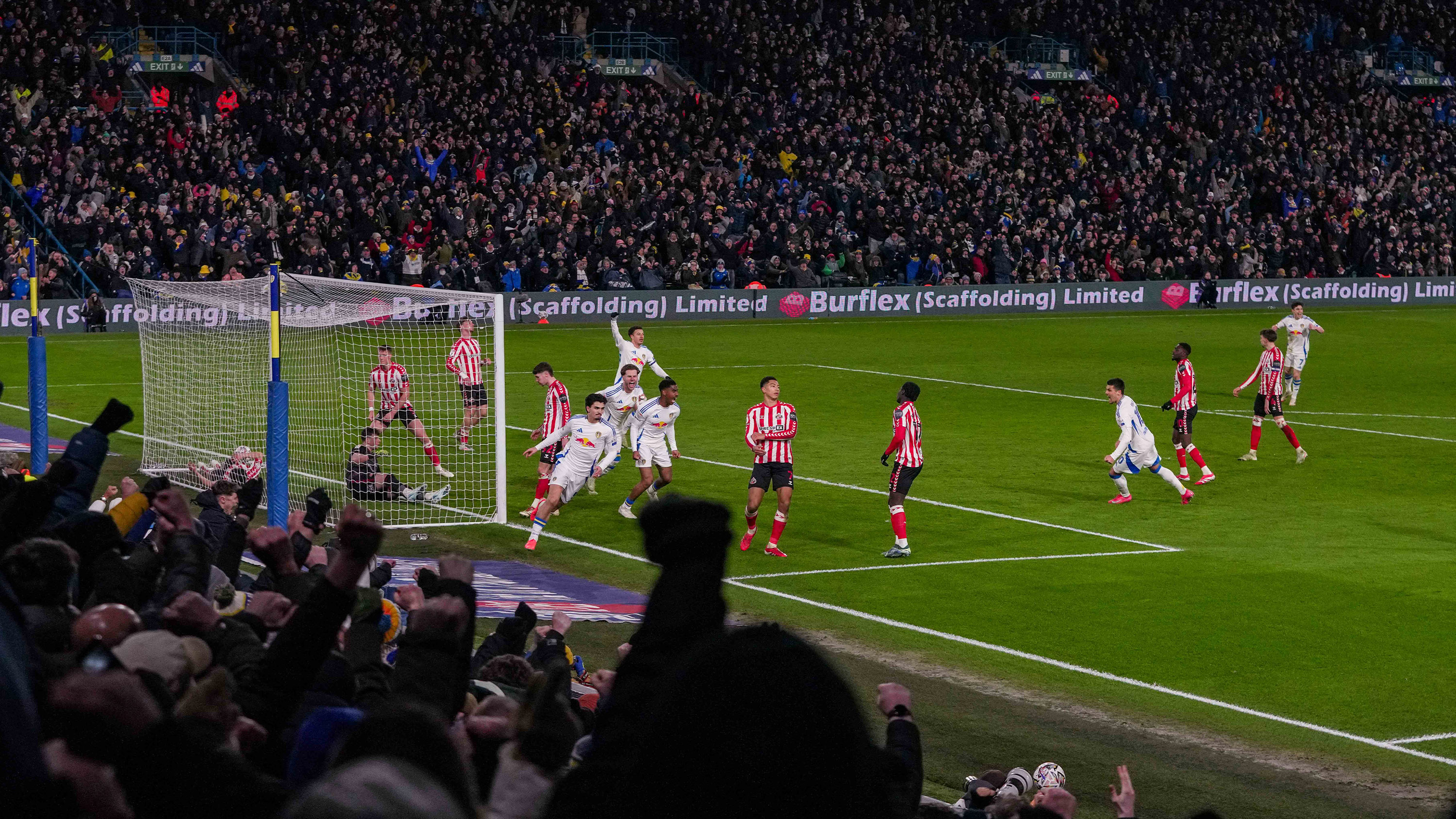 Pascal Struijk Sunderland