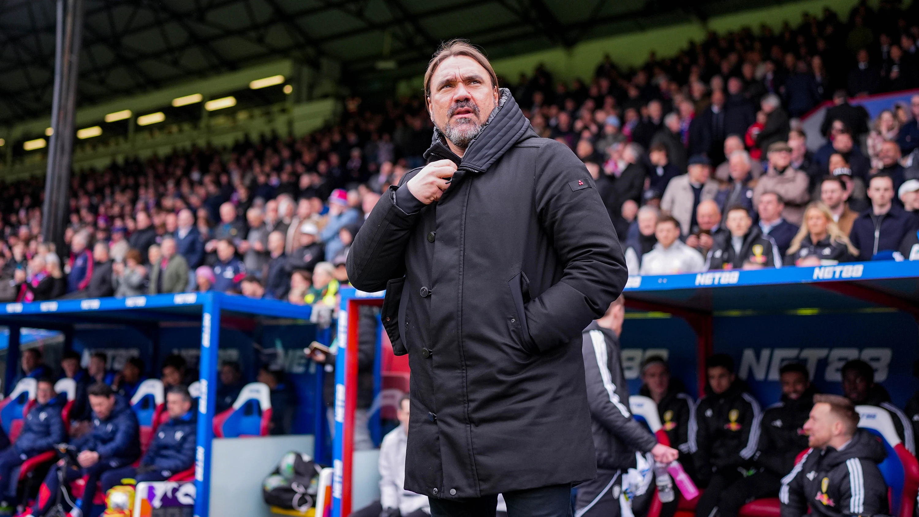 Daniel Farke vs CPFC (A)