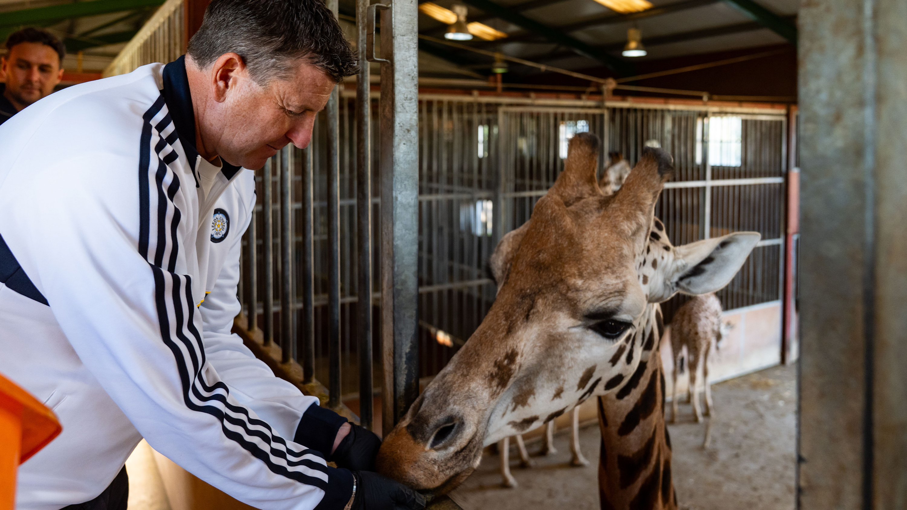 Michael Bridges Flamingo Land Oct 26 Feeding Giraffe