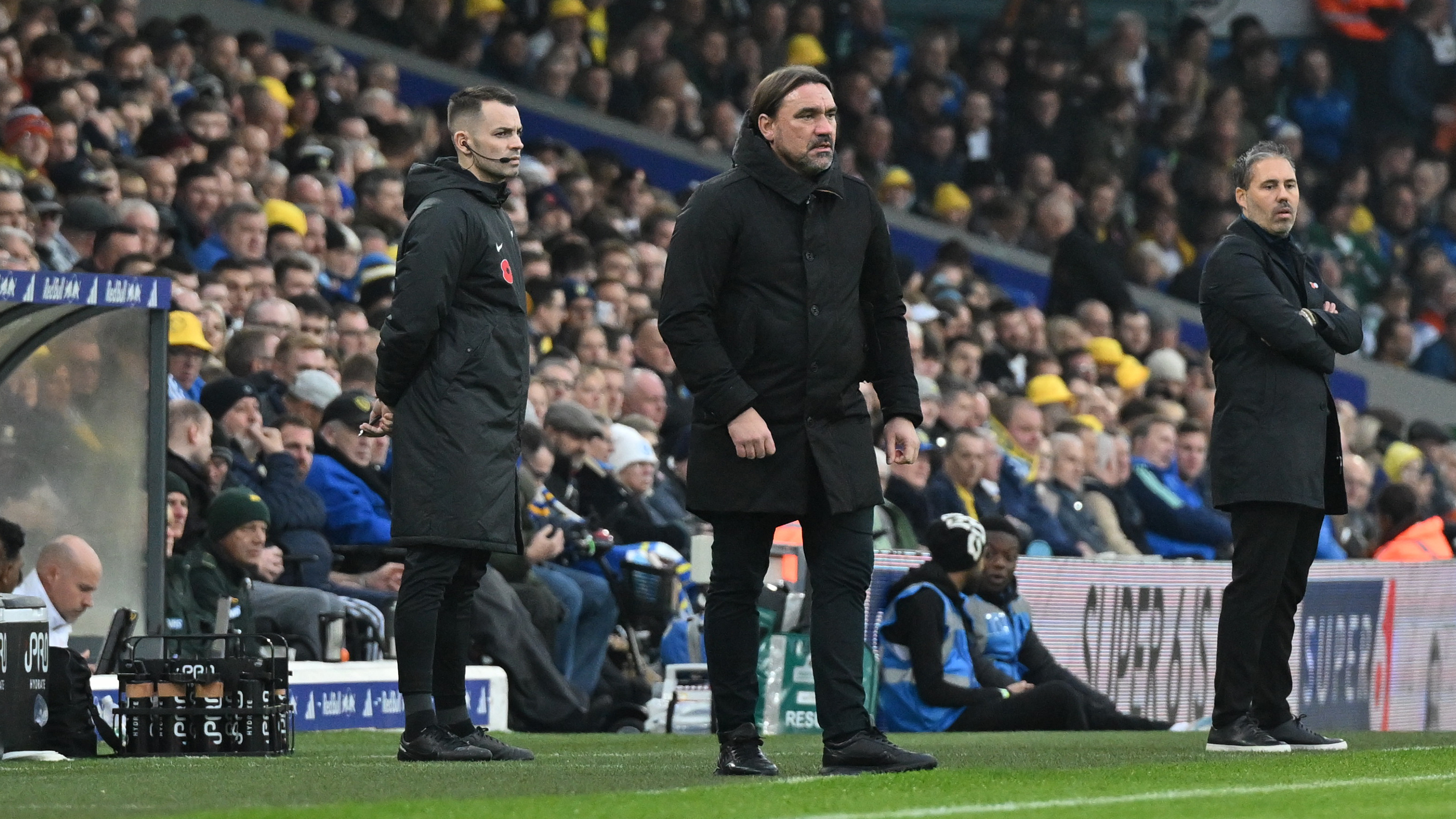 DANIEL FARKE QPR HOME