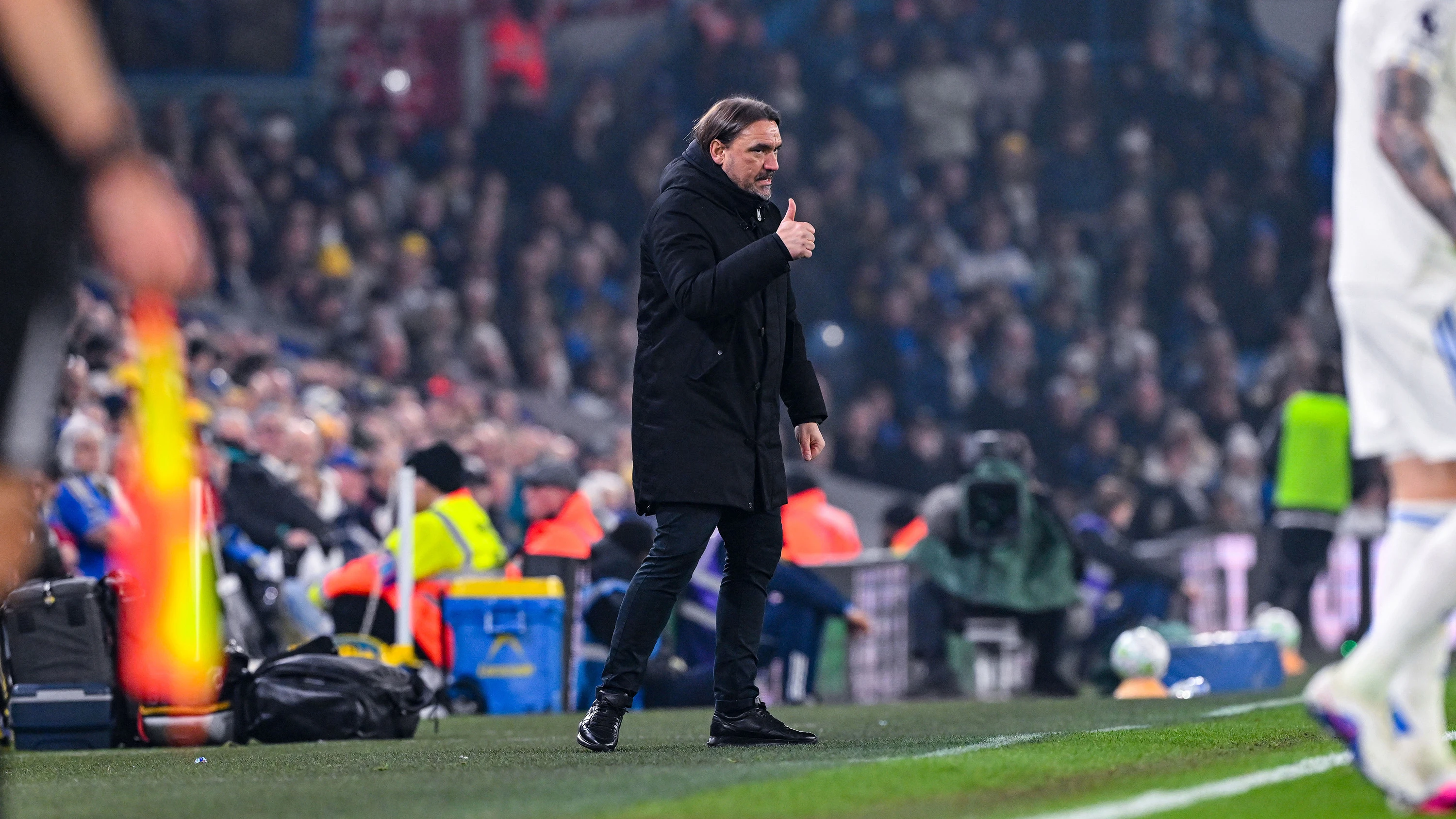 Daniel Farke vs Brentford (H)