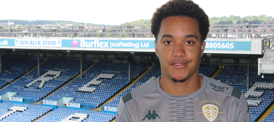 Helder Banner 005.png