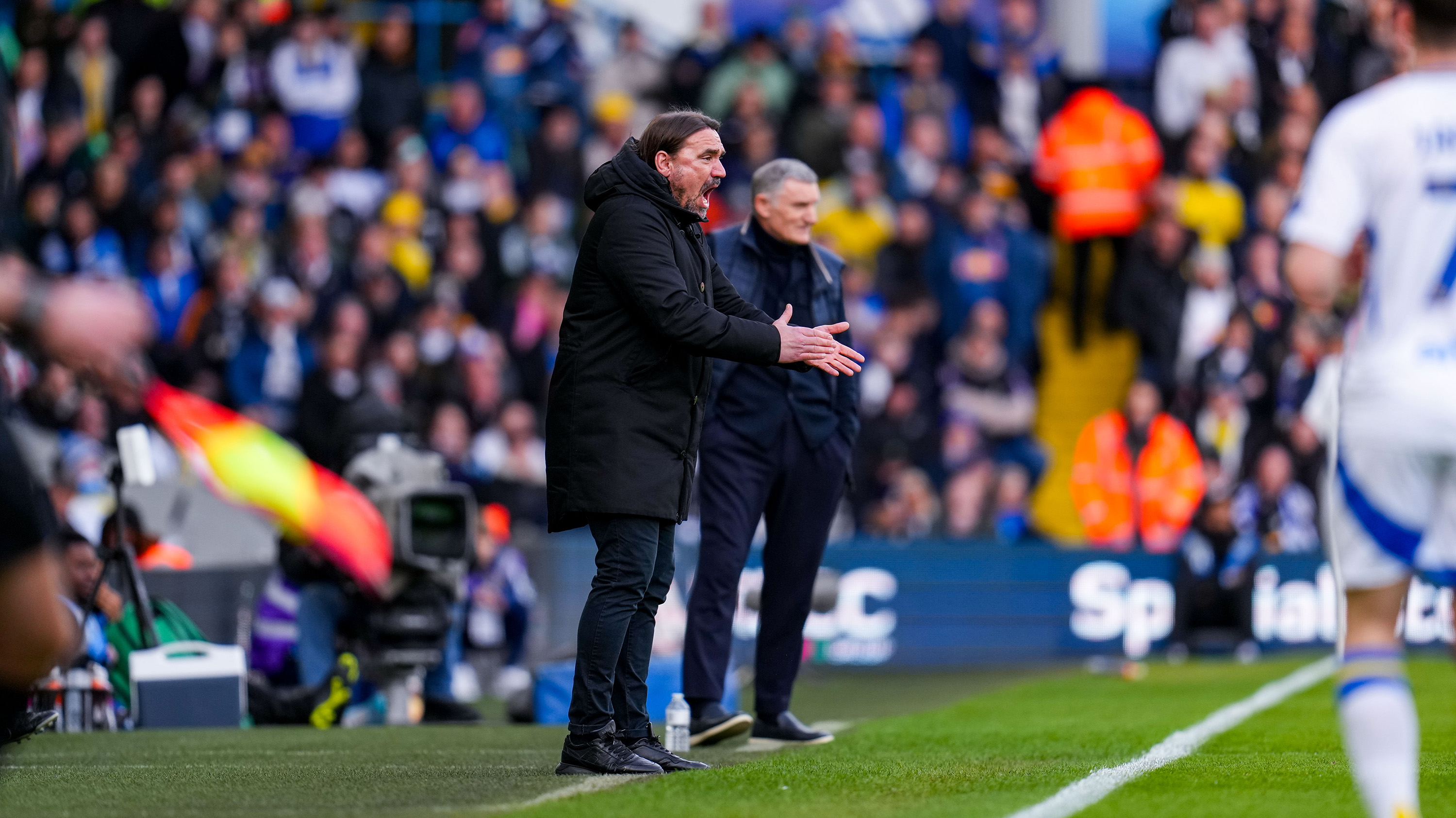 Daniel Farke vs WBA (2)