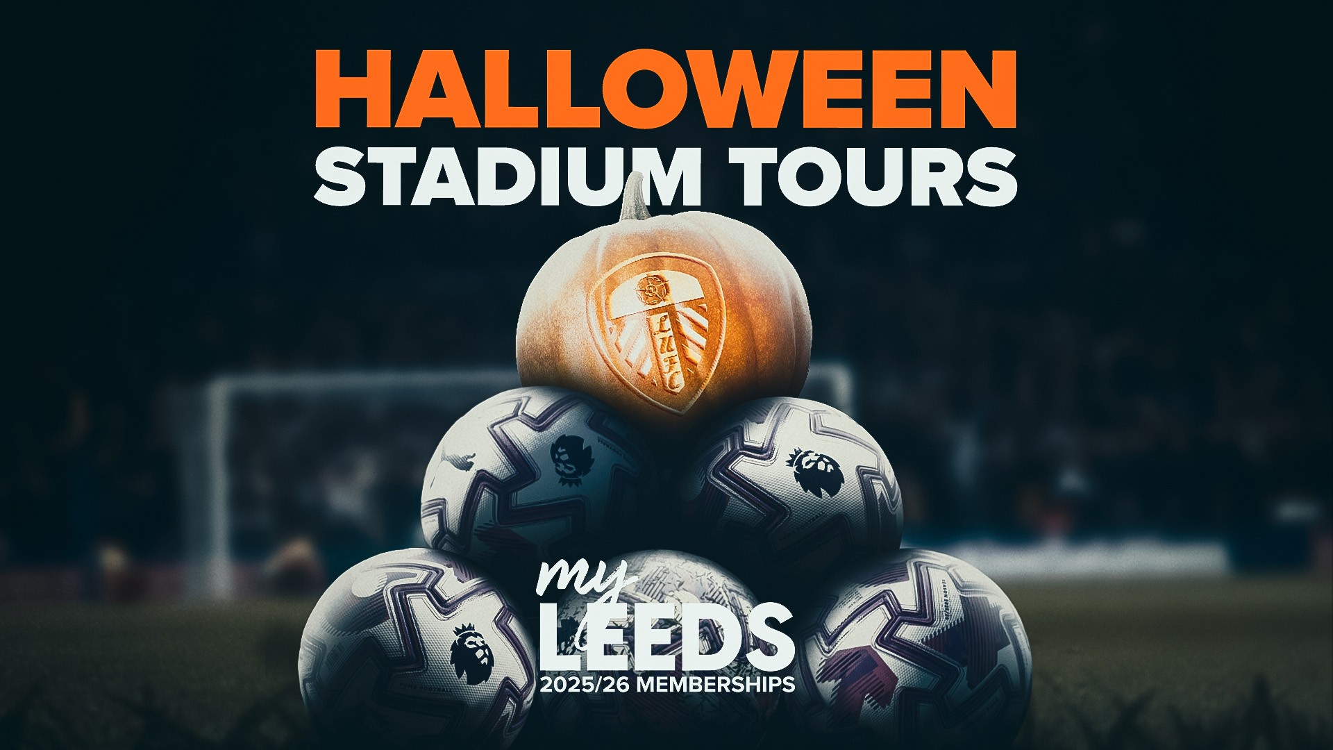 Halloween Stadium Tours