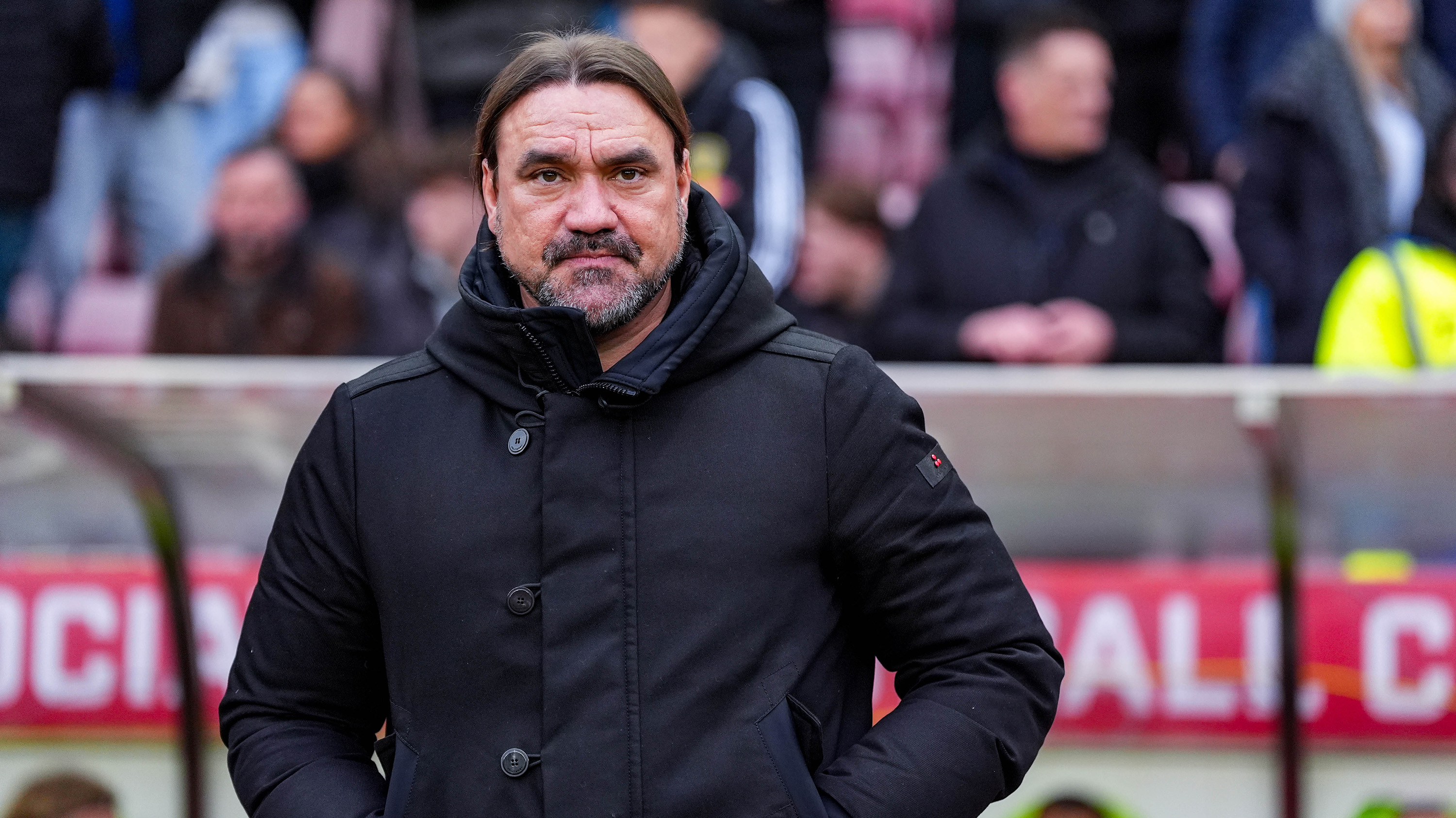 Daniel Farke vs Sunderland