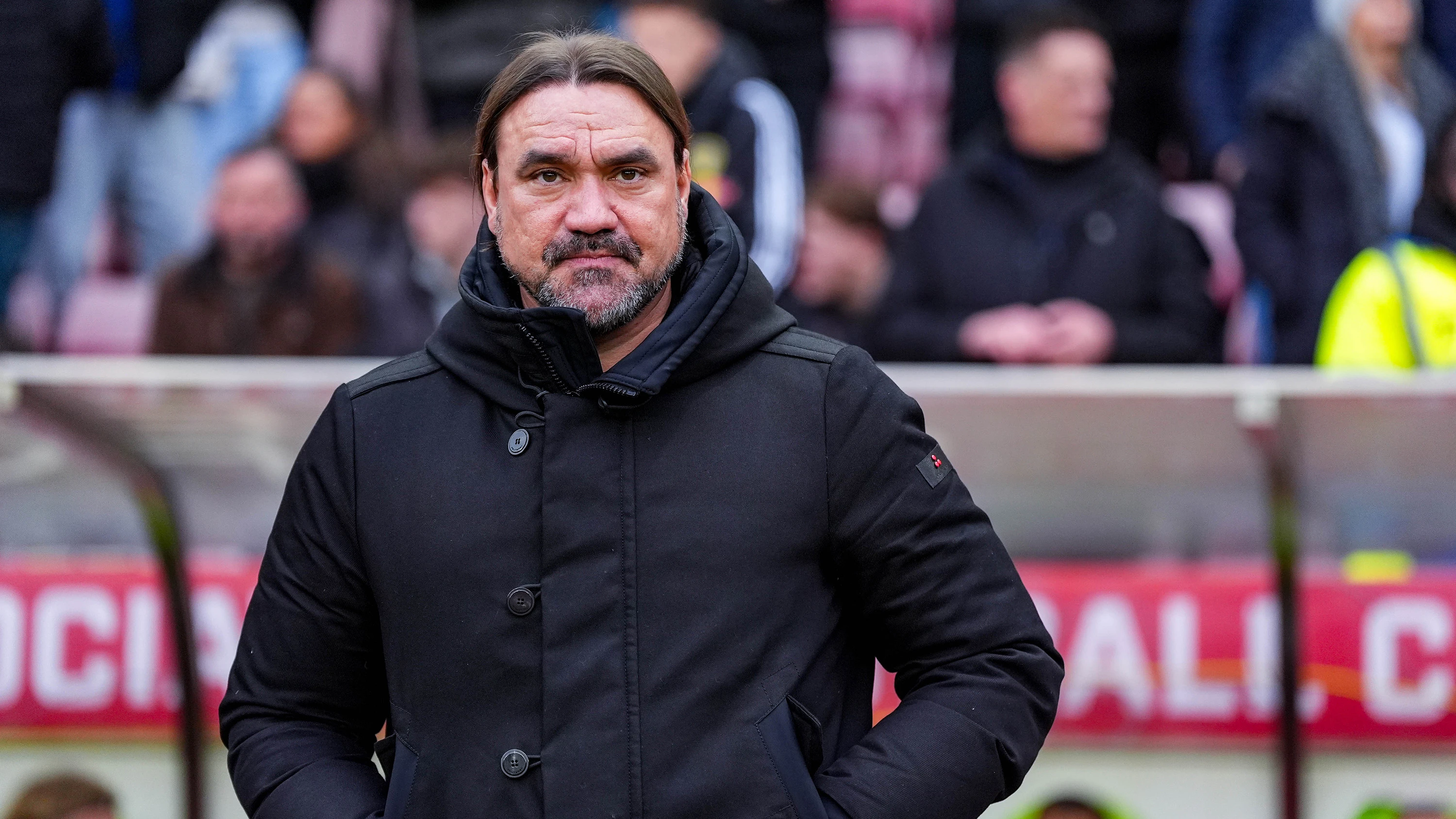 Daniel Farke vs Sunderland