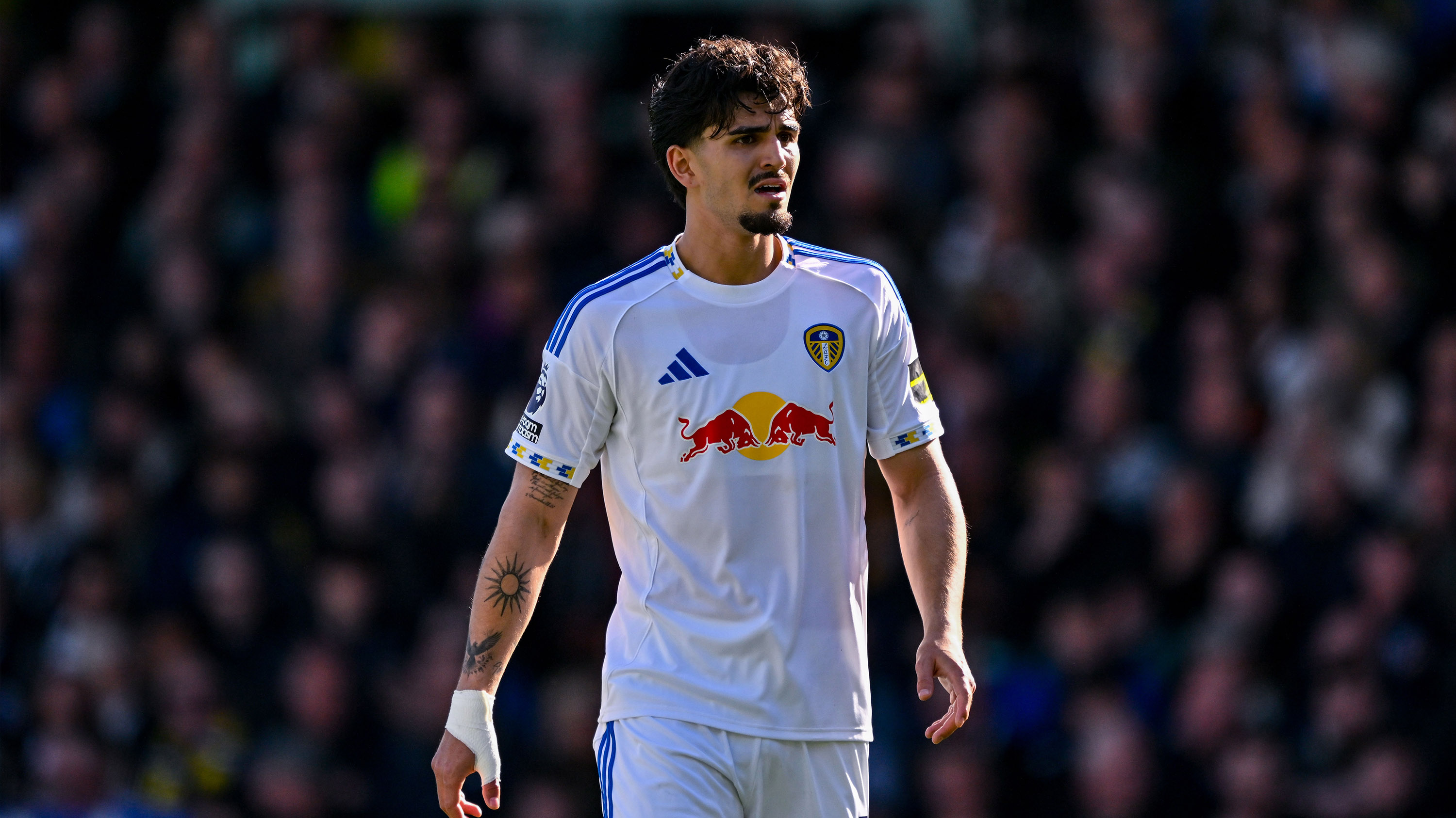 Pascal Struijk Holbeck Together