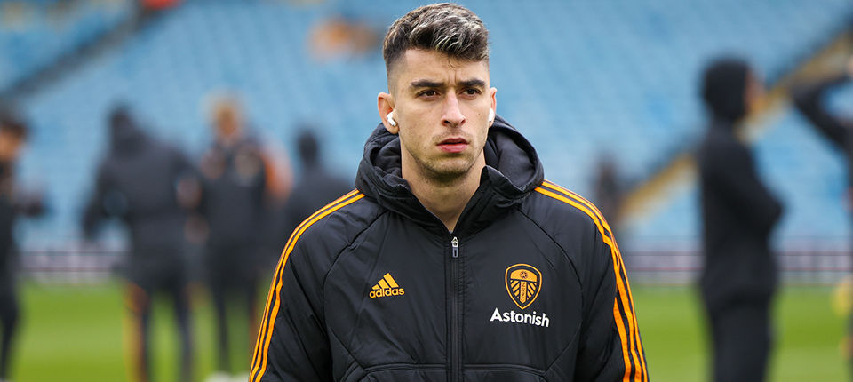 Roca team news banner.jpg