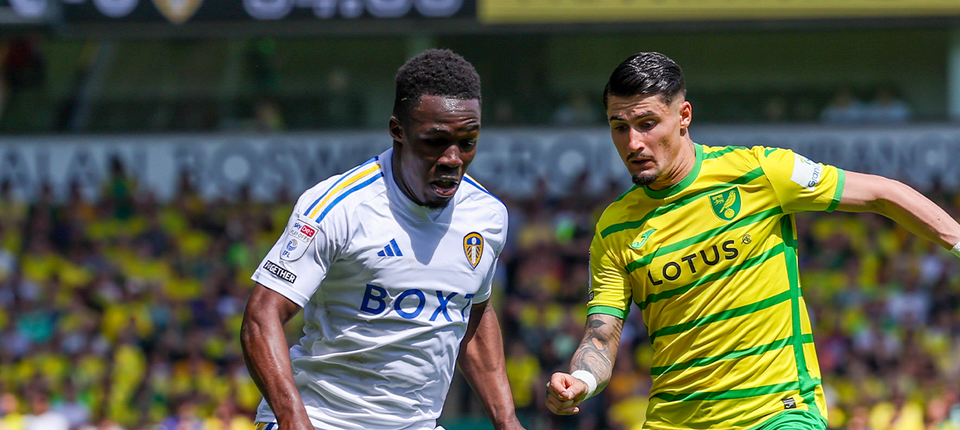 LEENOR LUTV Banner.png