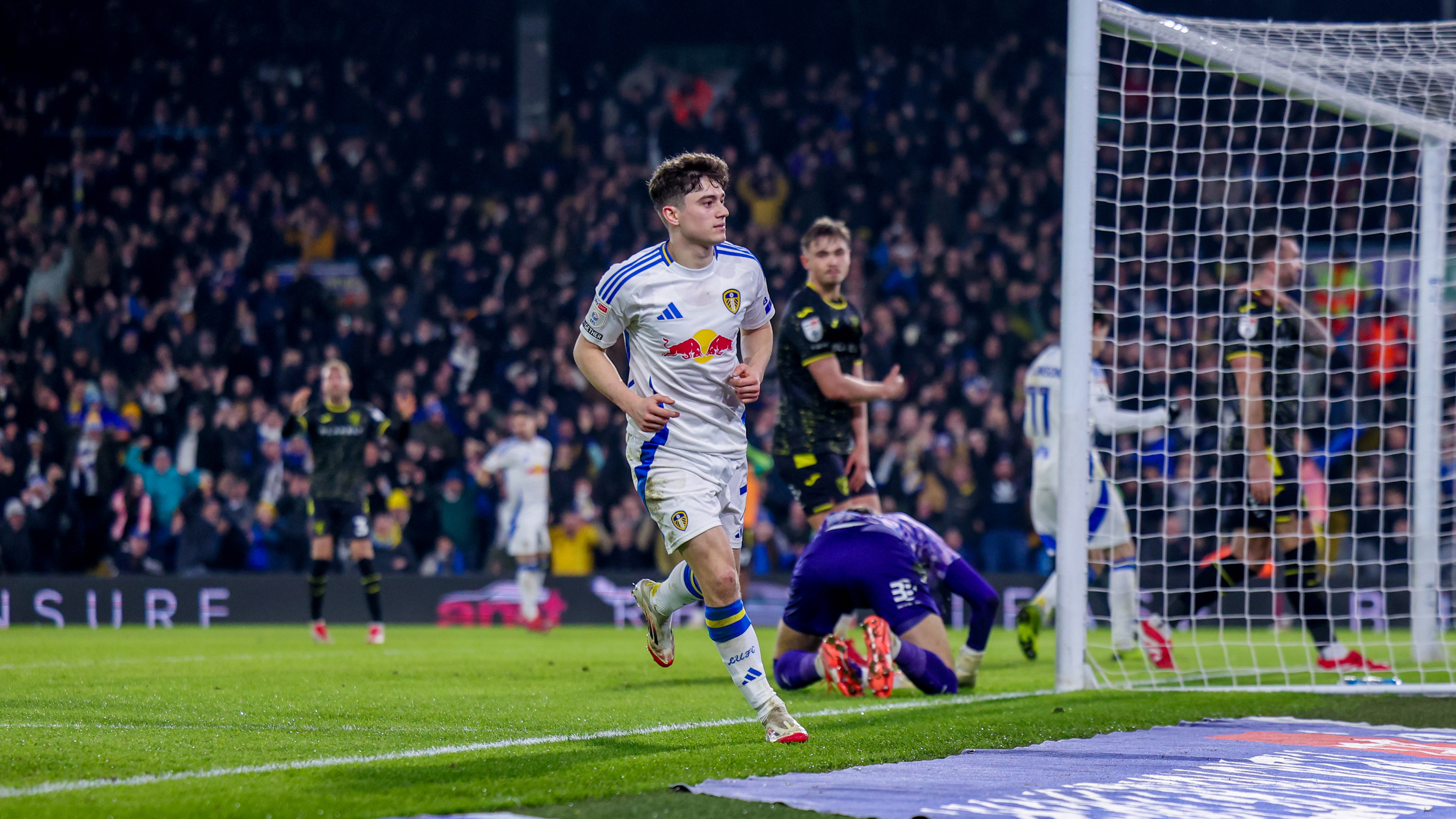 dan james goal norwich