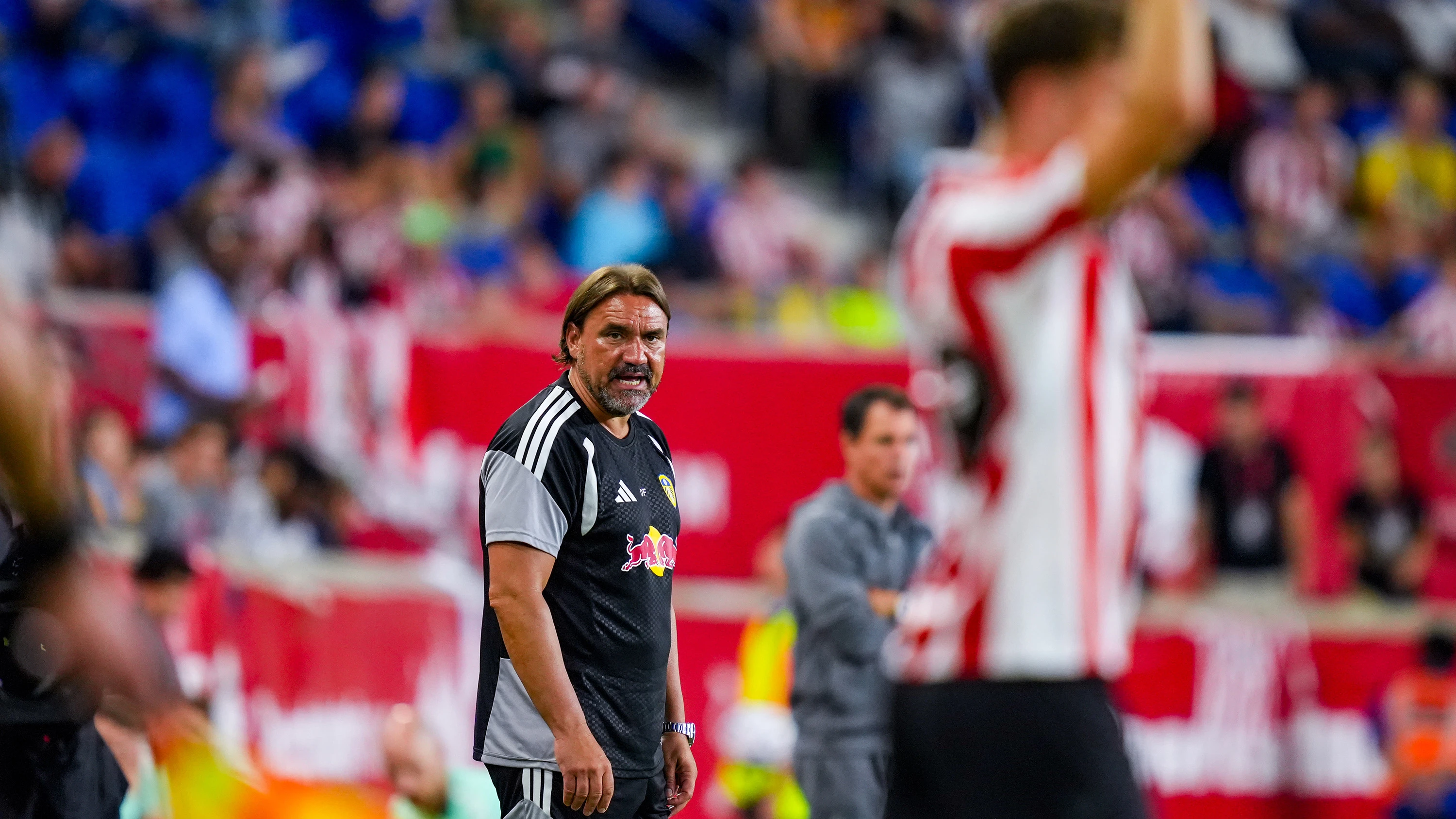 Daniel Farke vs Sunderland (pre-season)