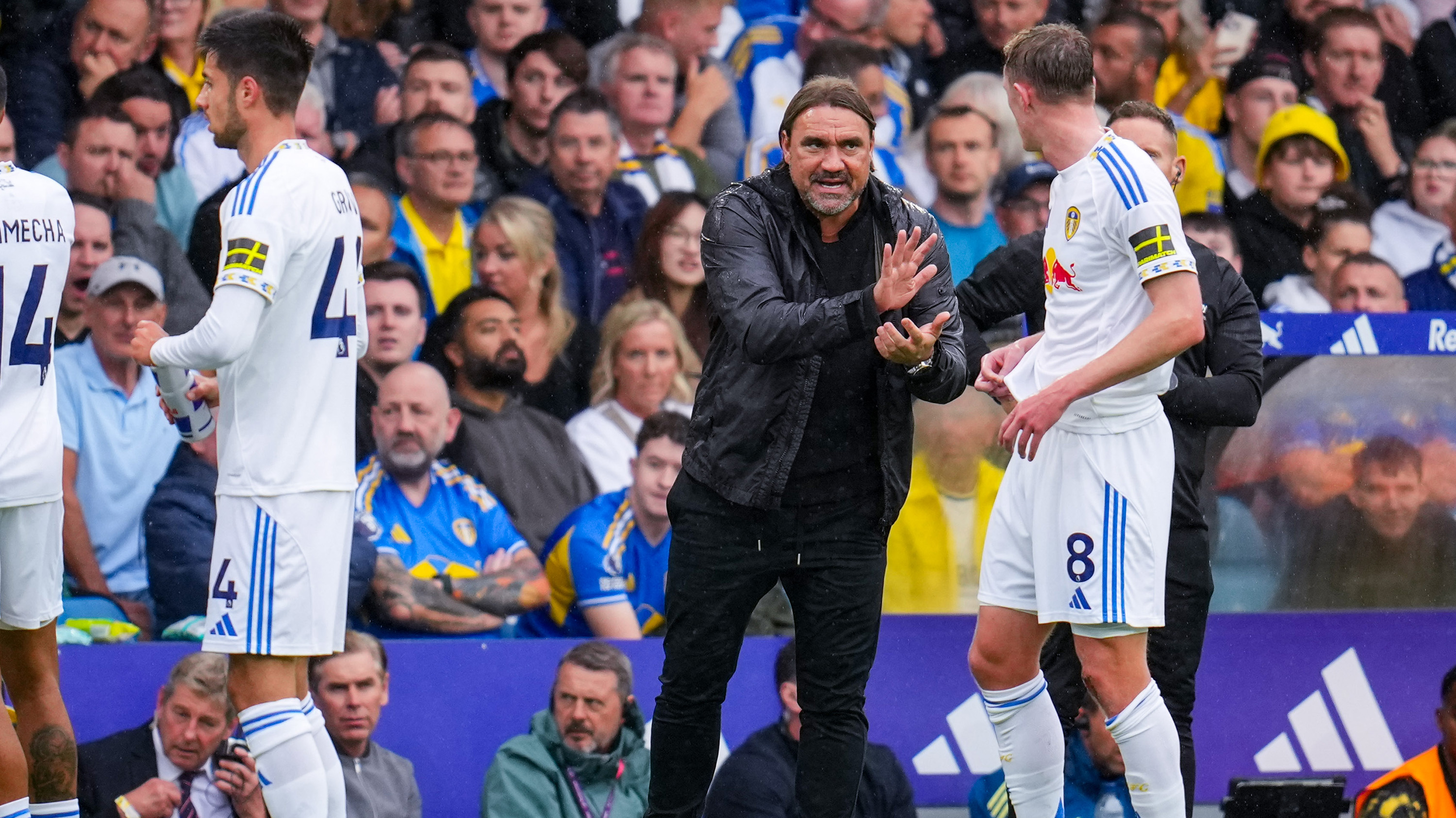 Daniel Farke vs NUFC