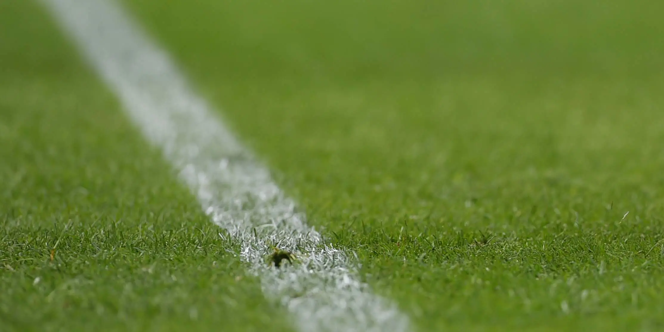 Image: Scottish Football warns of significant unintended consequences of banning alcohol sponsorship