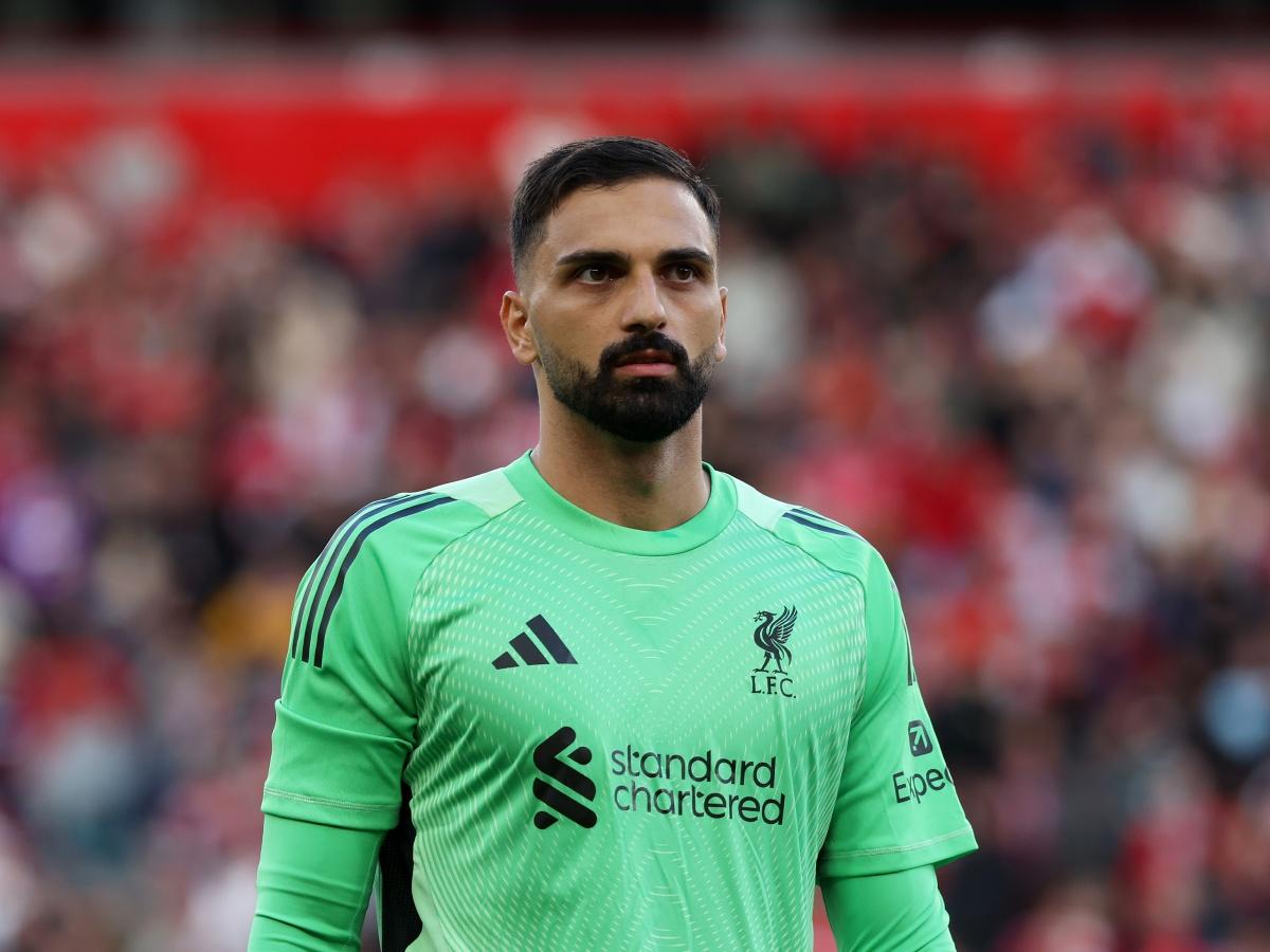 Embed (f59cb2be-8d41-4a5a-8d68-69cf9710a758)
