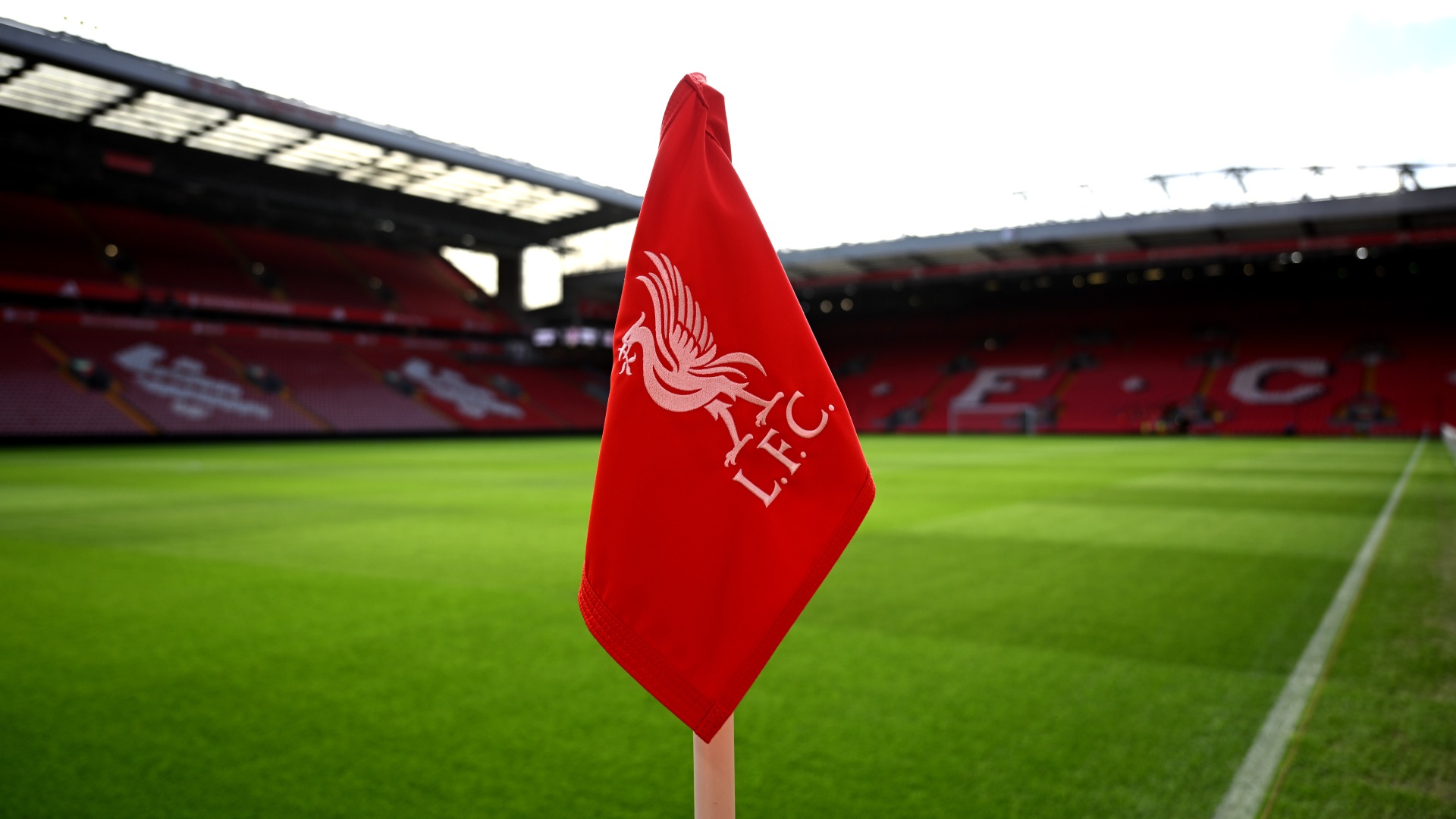 LFC Holding Image 1