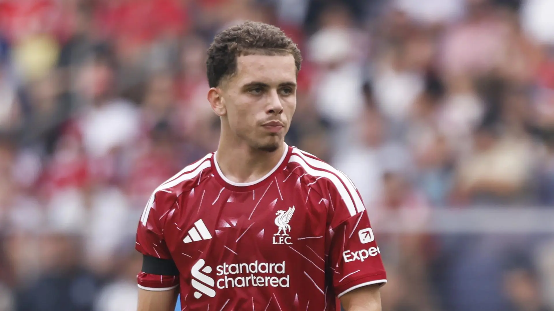 Kieran Morrison joins Sheffield Wednesday on loan