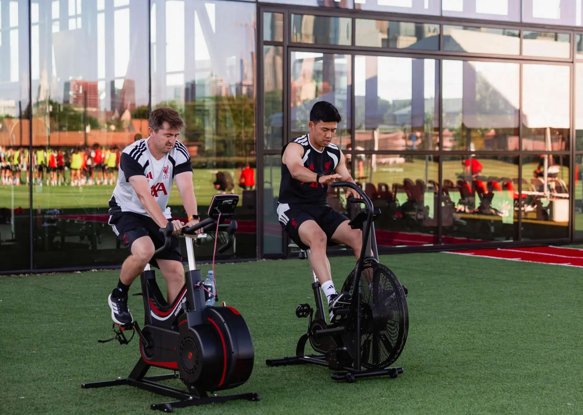 Embed (fb220076-04ba-4b58-9696-274fa246e26b)