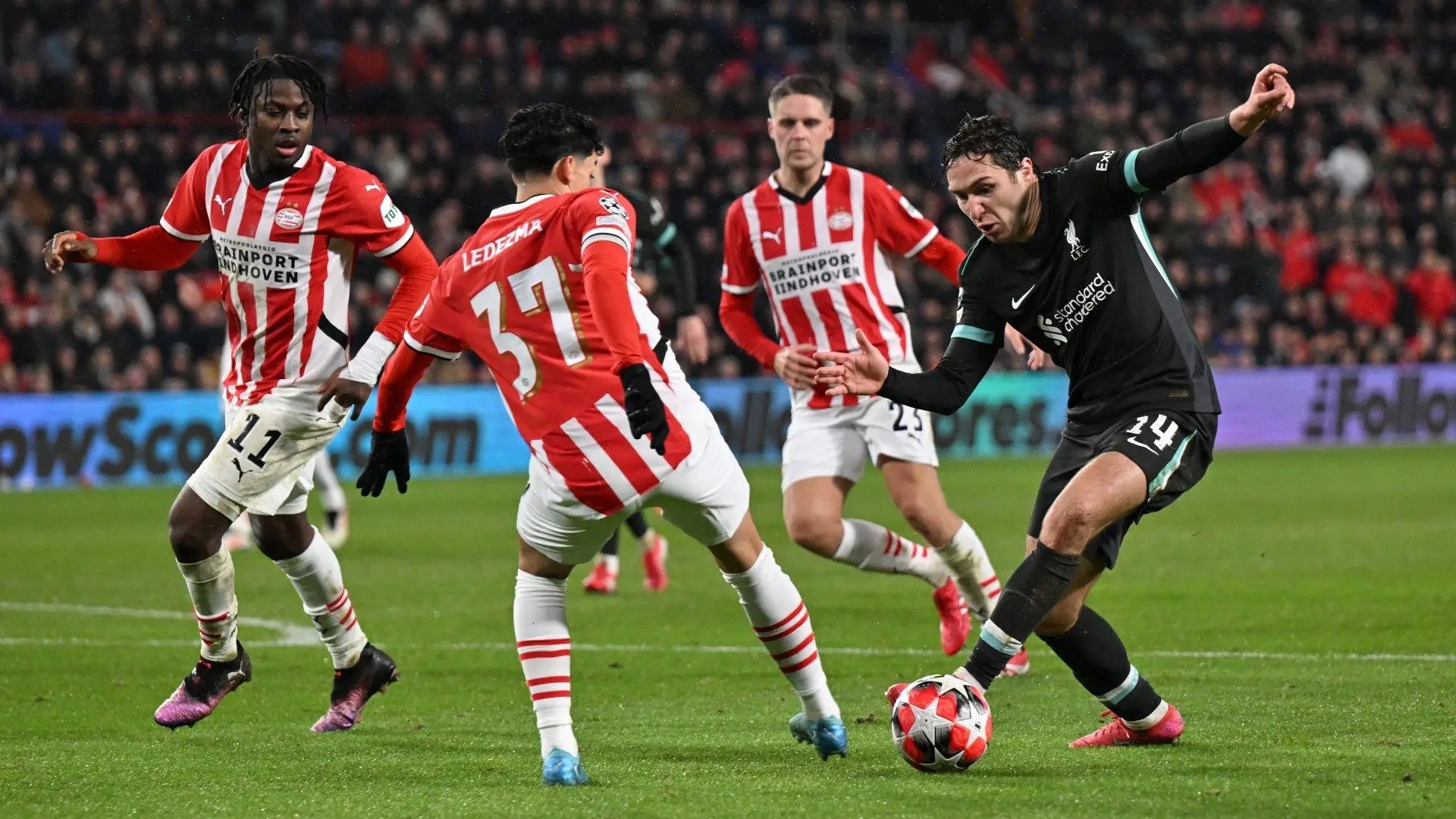 Embed (4bd23208-f9ab-482c-882f-af08811aa628)