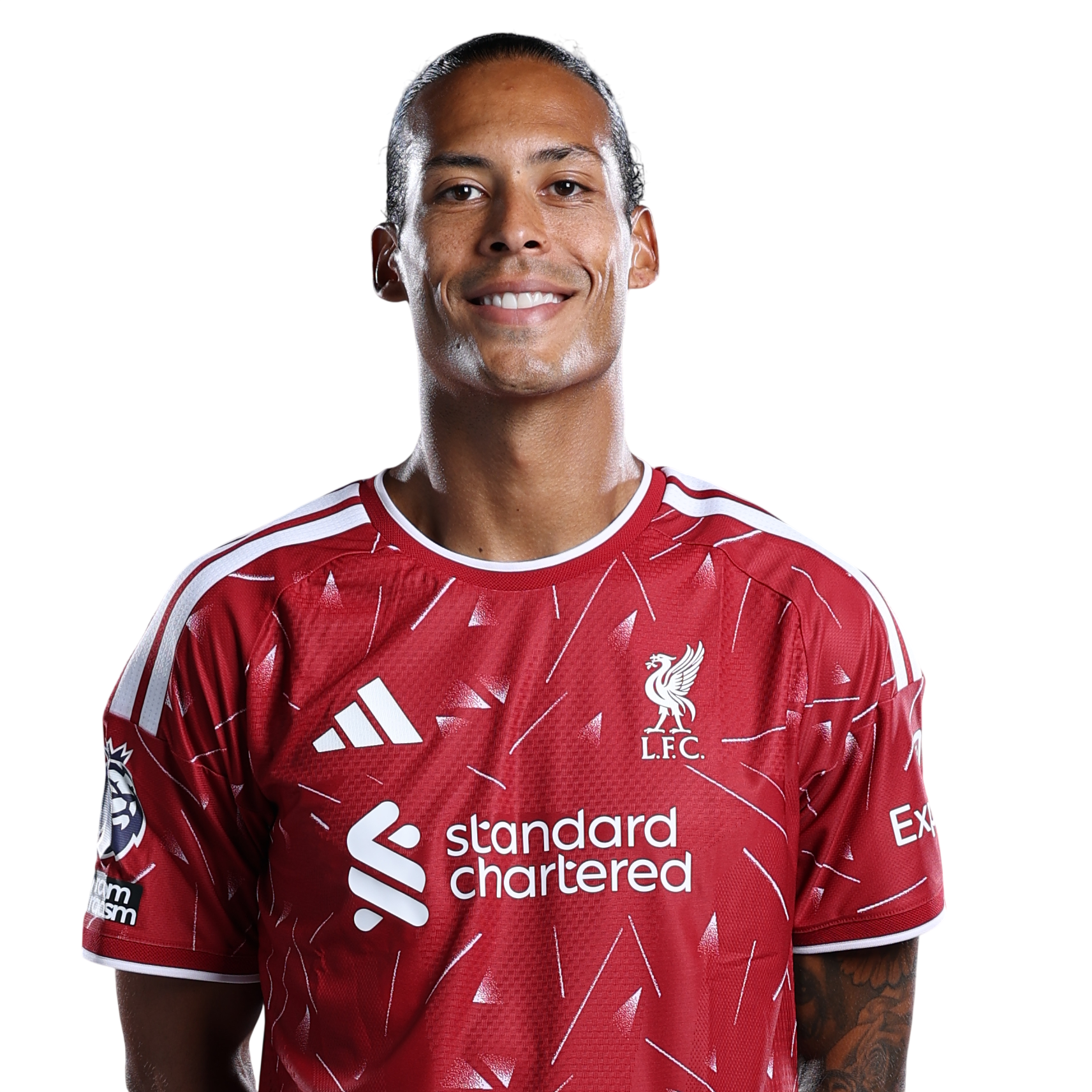 Virgil van Dijk profile