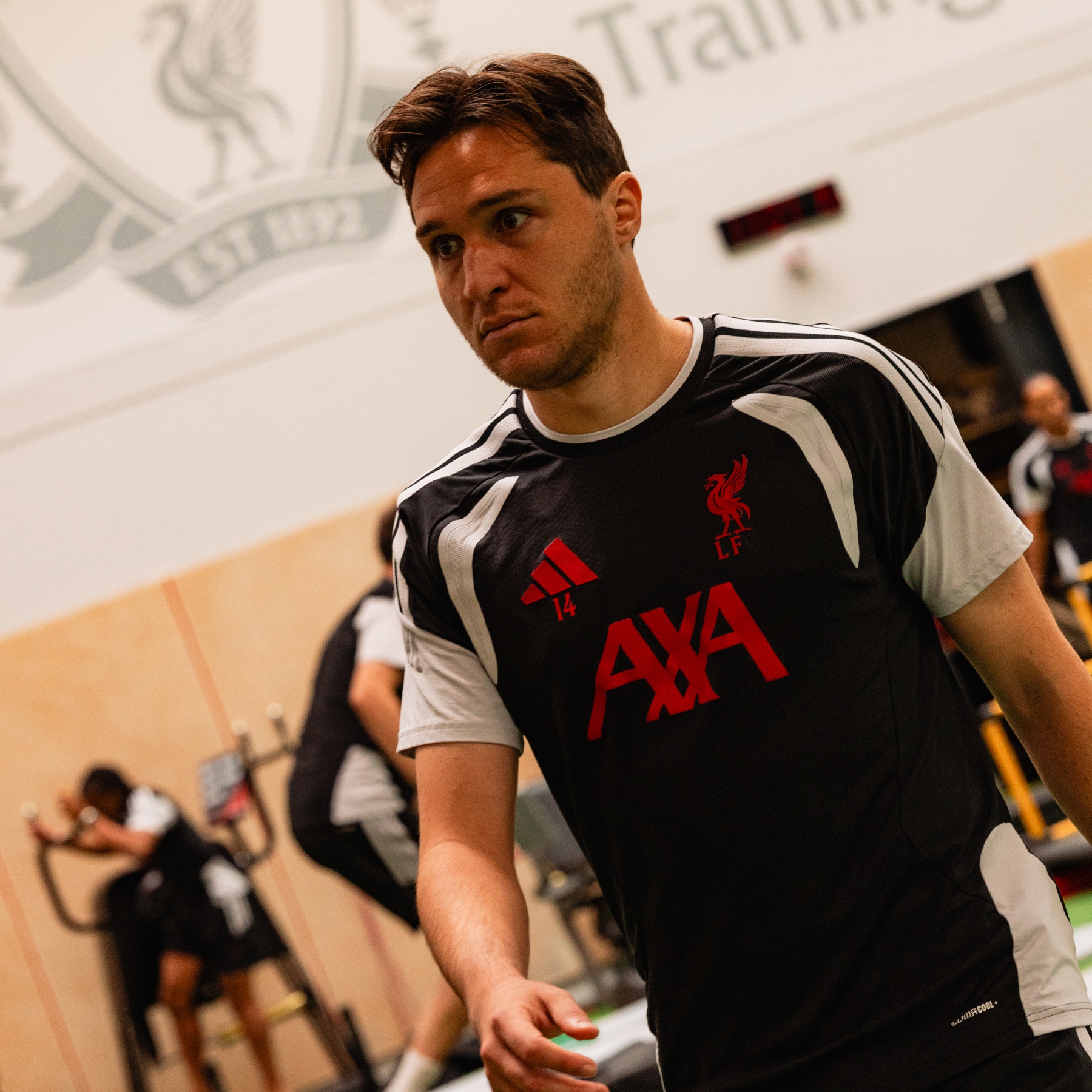 Training image - 8/10/2026 (15)