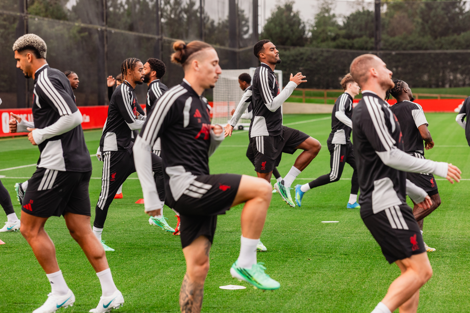Training pitch image - 8/10/2026 (5)
