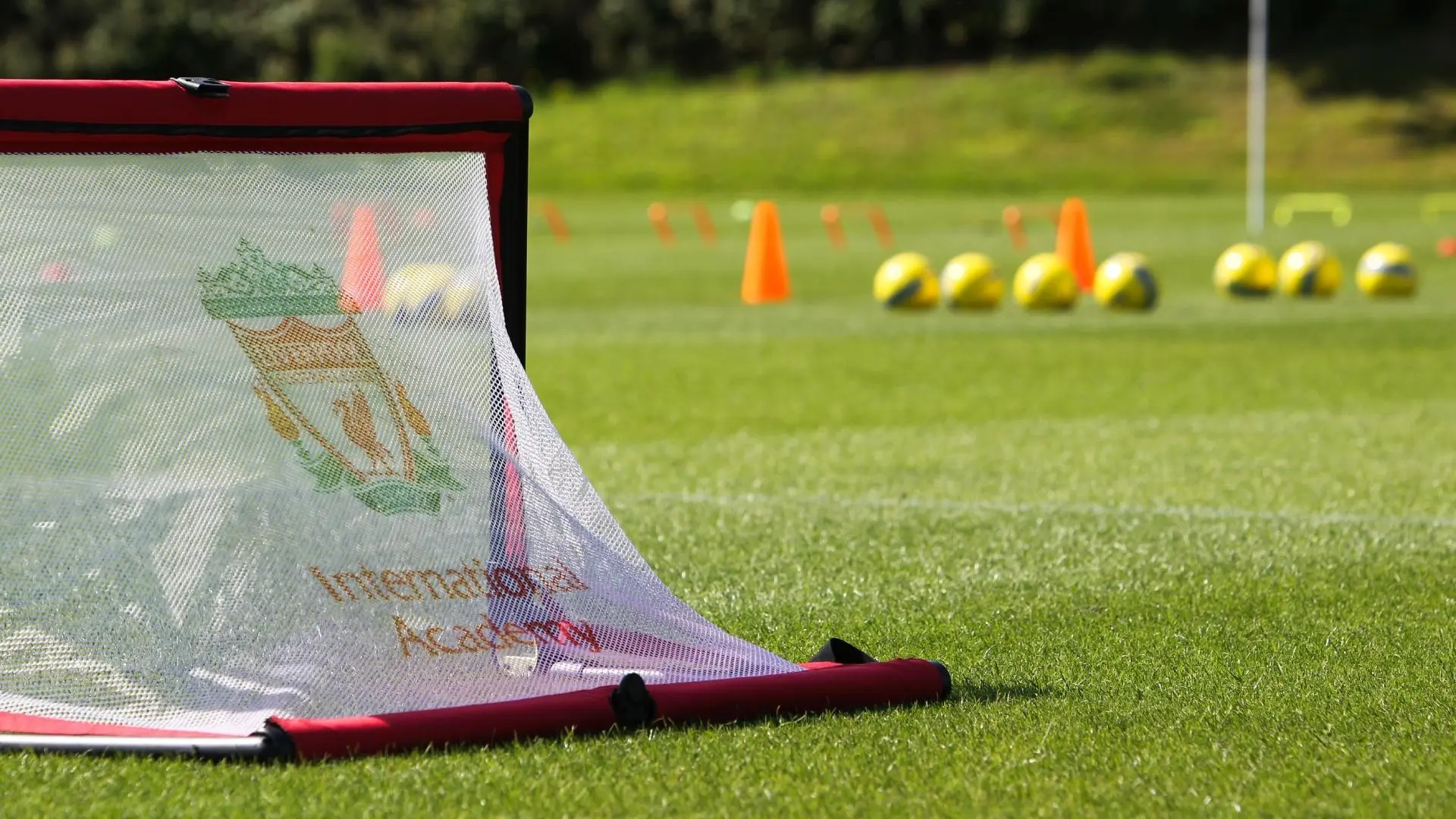 LFC International Academy expands to Arizona and Nevada