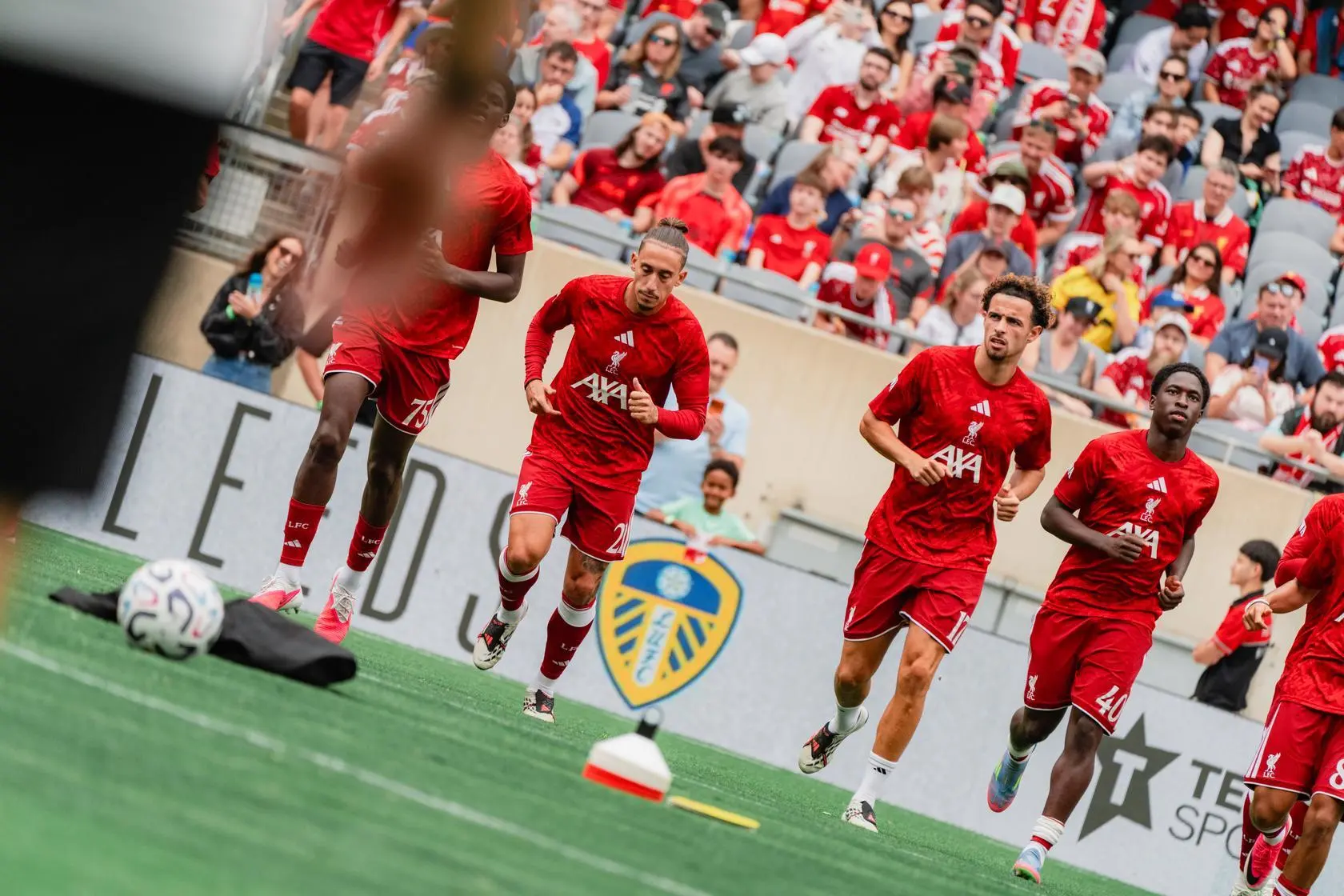 Embed (69e3ebdf-683e-4f4c-9921-b45b9e53e75e)