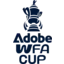 Womens FA cup 2