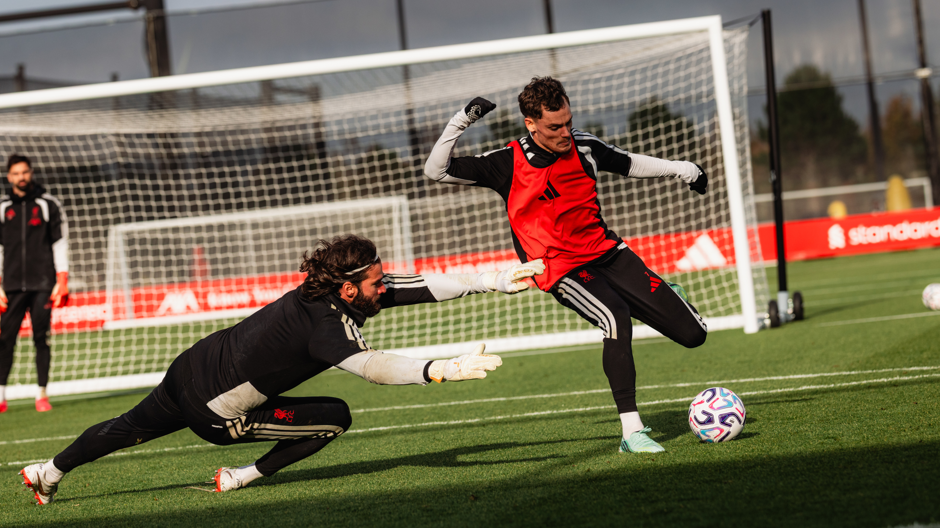 Training pitch cover - 30/10/2026