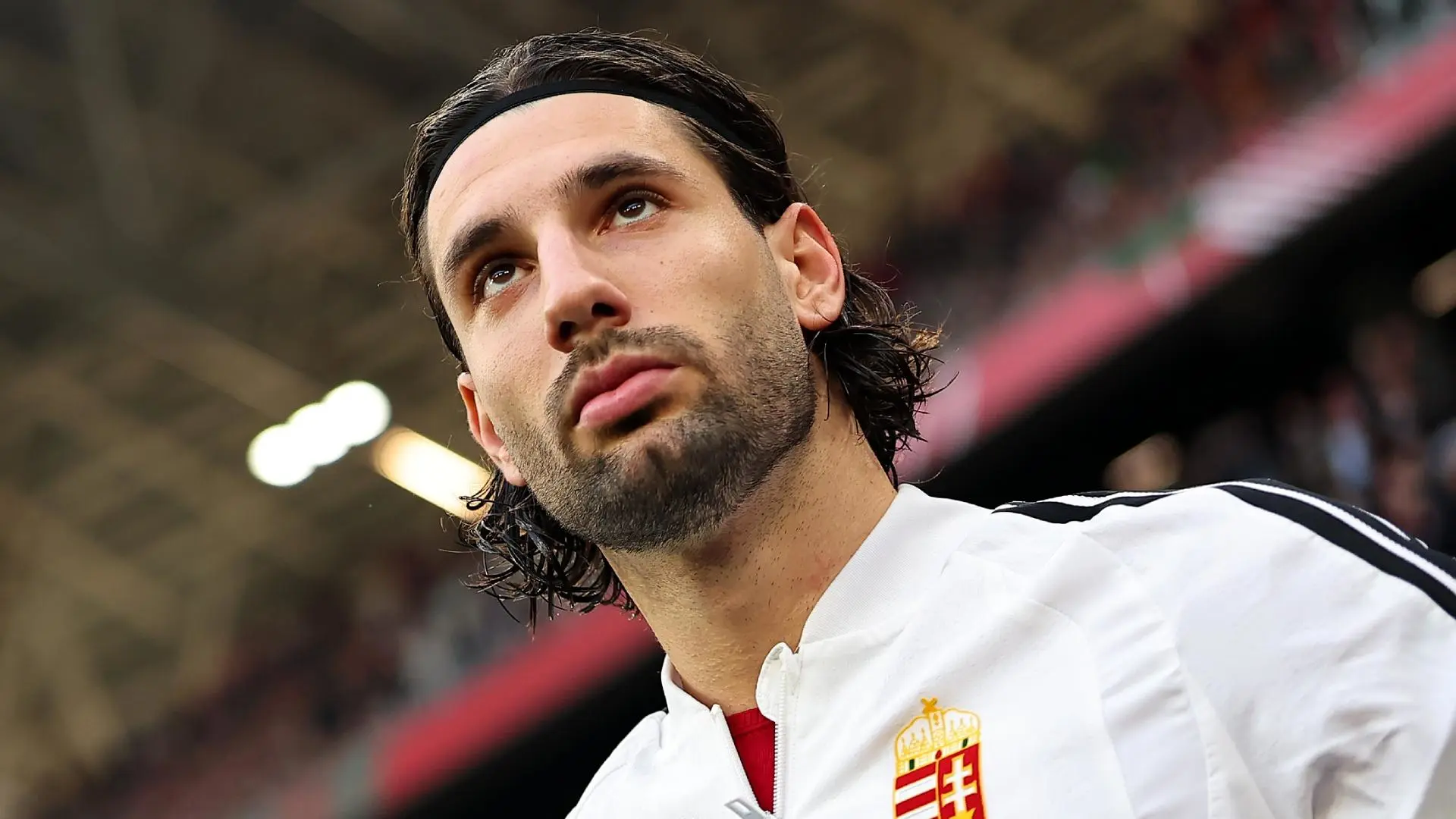 Internationals: Five Liverpool players in action on Saturday