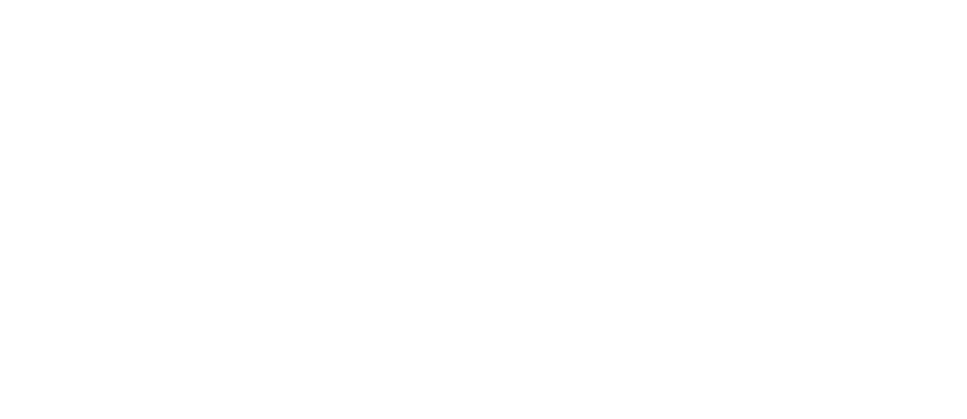 Carlsberg Official Partner of LFC