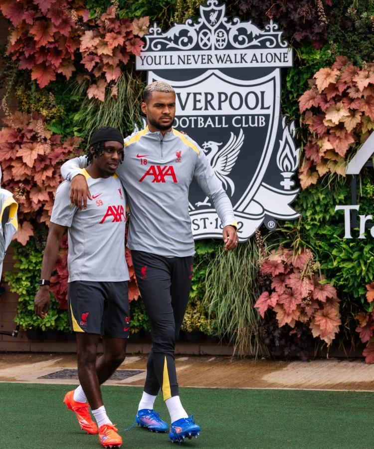 Embed (eb678058-4293-4f42-b747-8d03d4bb1b49)