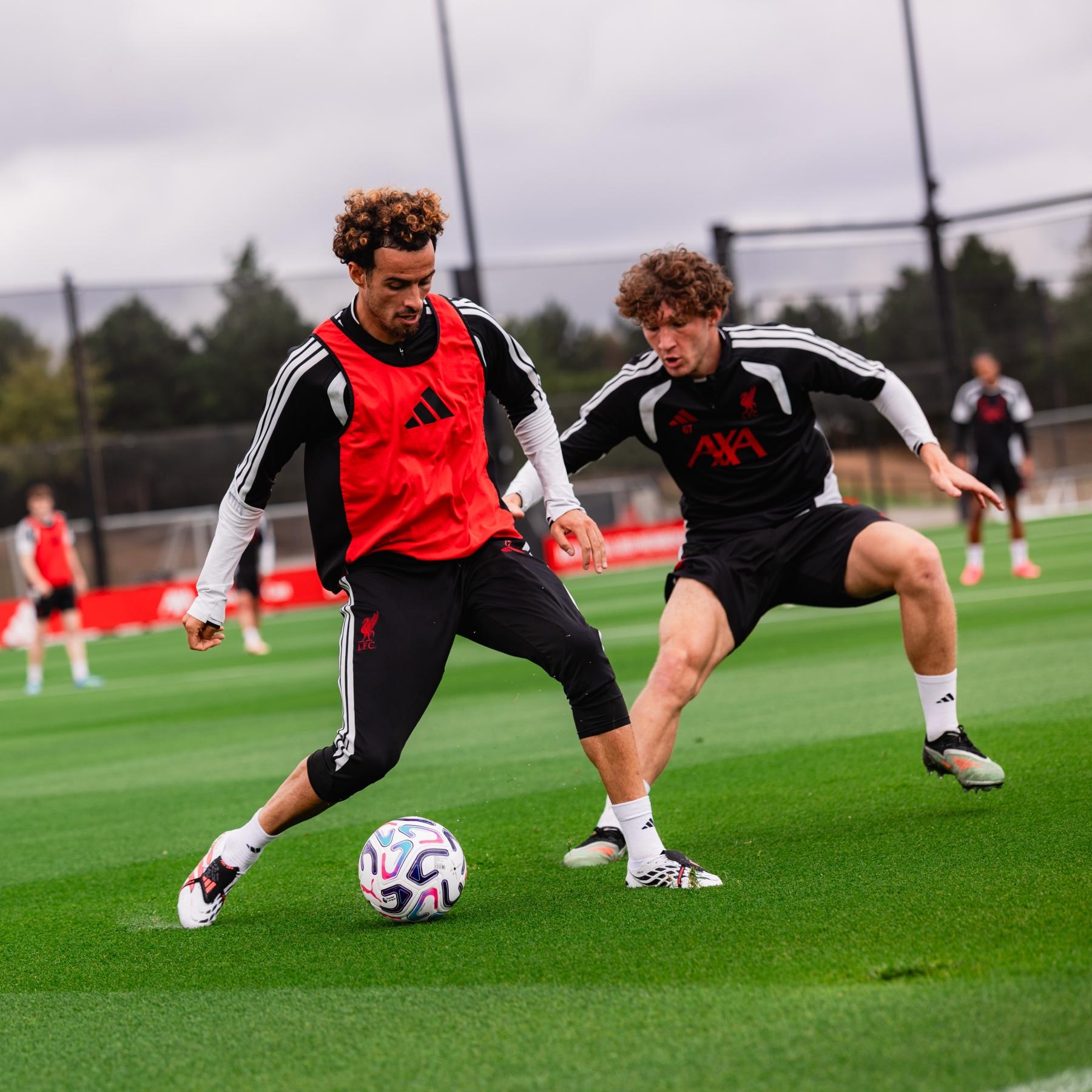 Embed (31763025-3d18-4de1-a220-1e35f597e7fa)