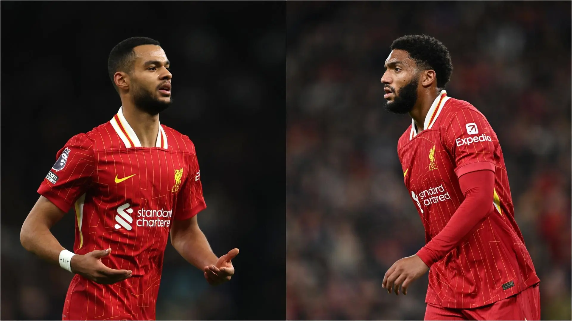 Injury news: Updates on Cody Gakpo and Joe Gomez from Arne Slot