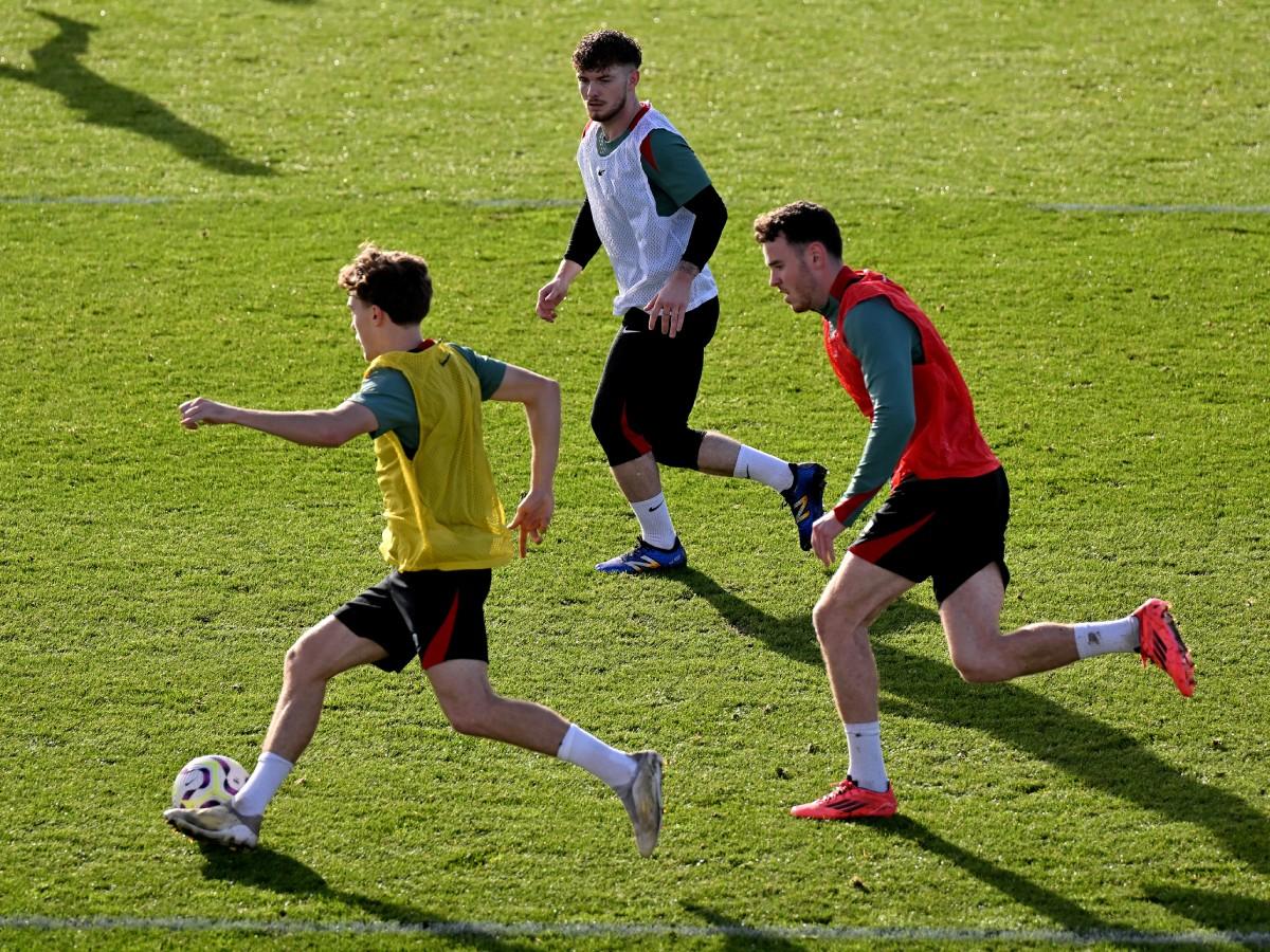 Embed (998852d1-273c-4327-9050-adde15eac987)