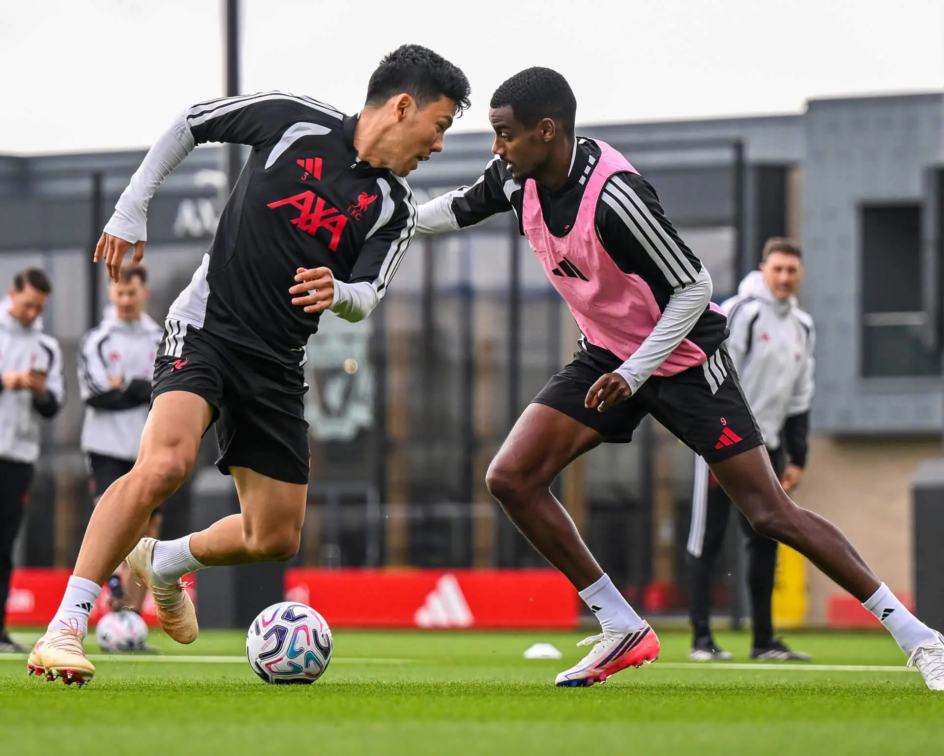 Embed (1548bc83-c42d-4a77-af43-a990469257ea)