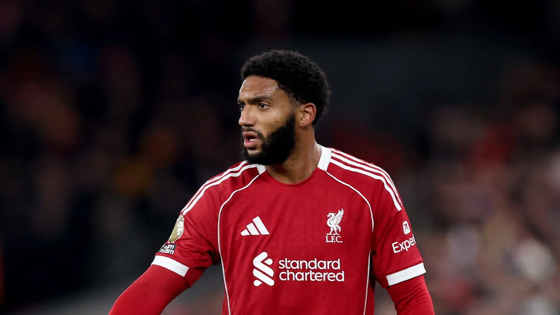 Fulham v Liverpool: Team news